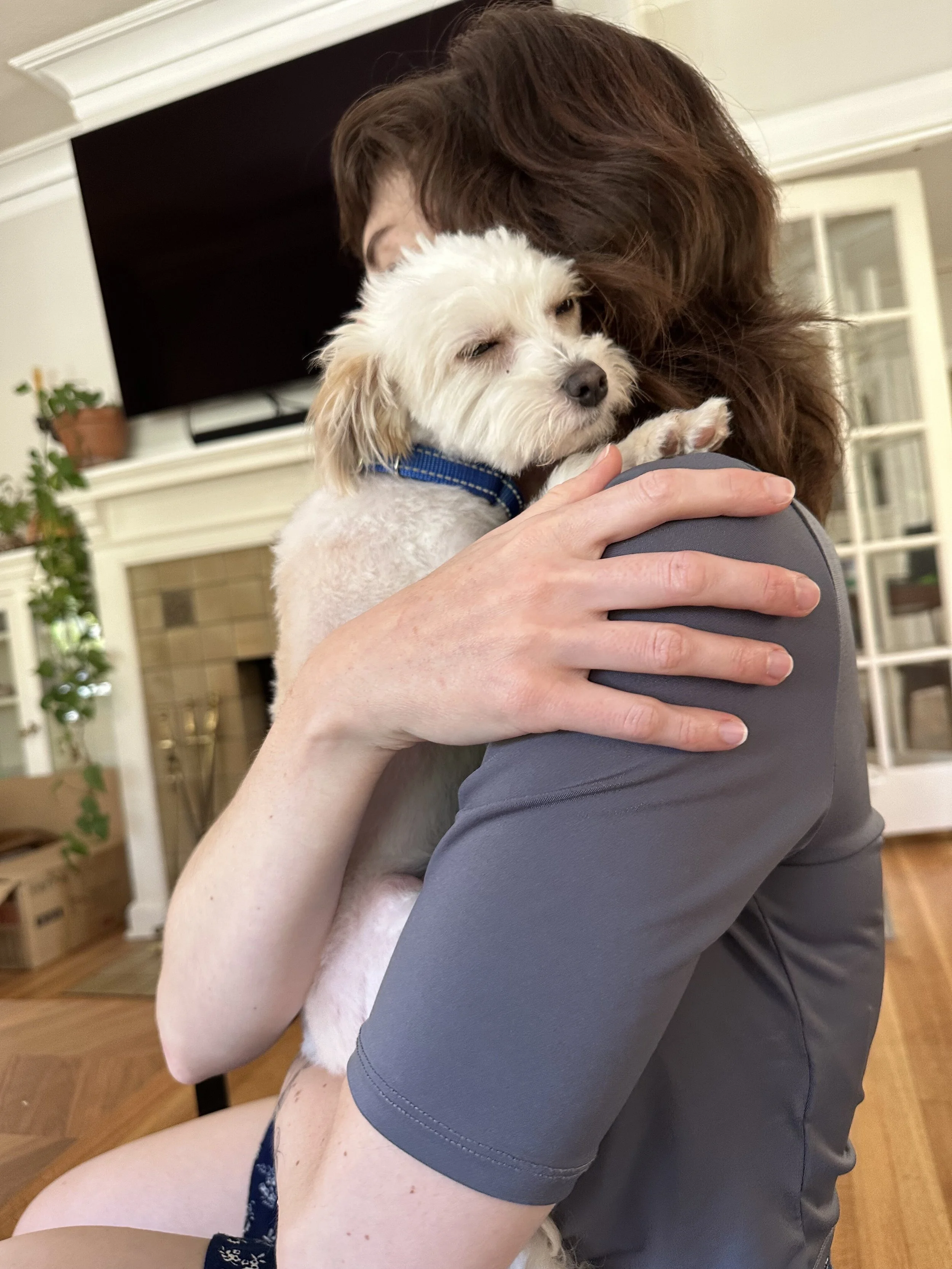 Linguinehug.jpeg