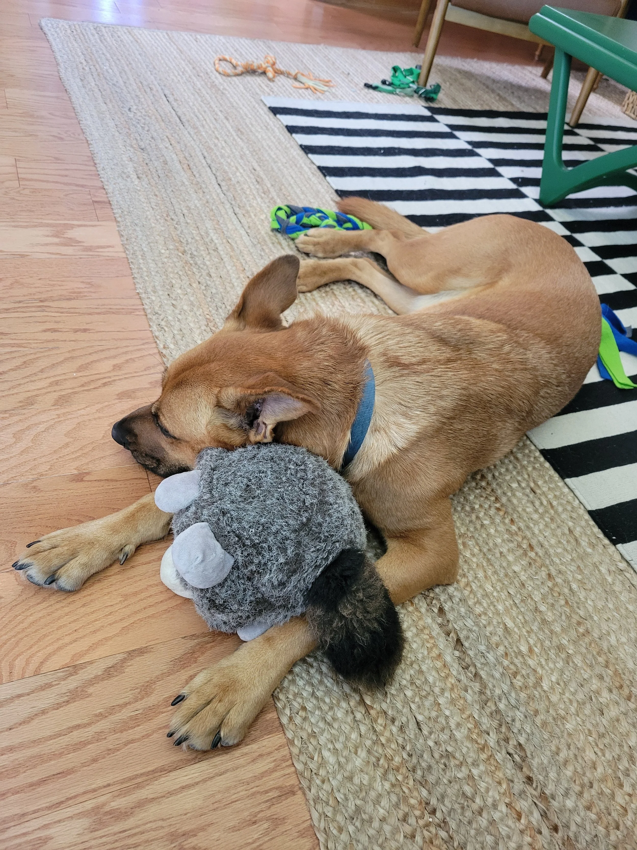 OleoNoratoysnuggles.jpg