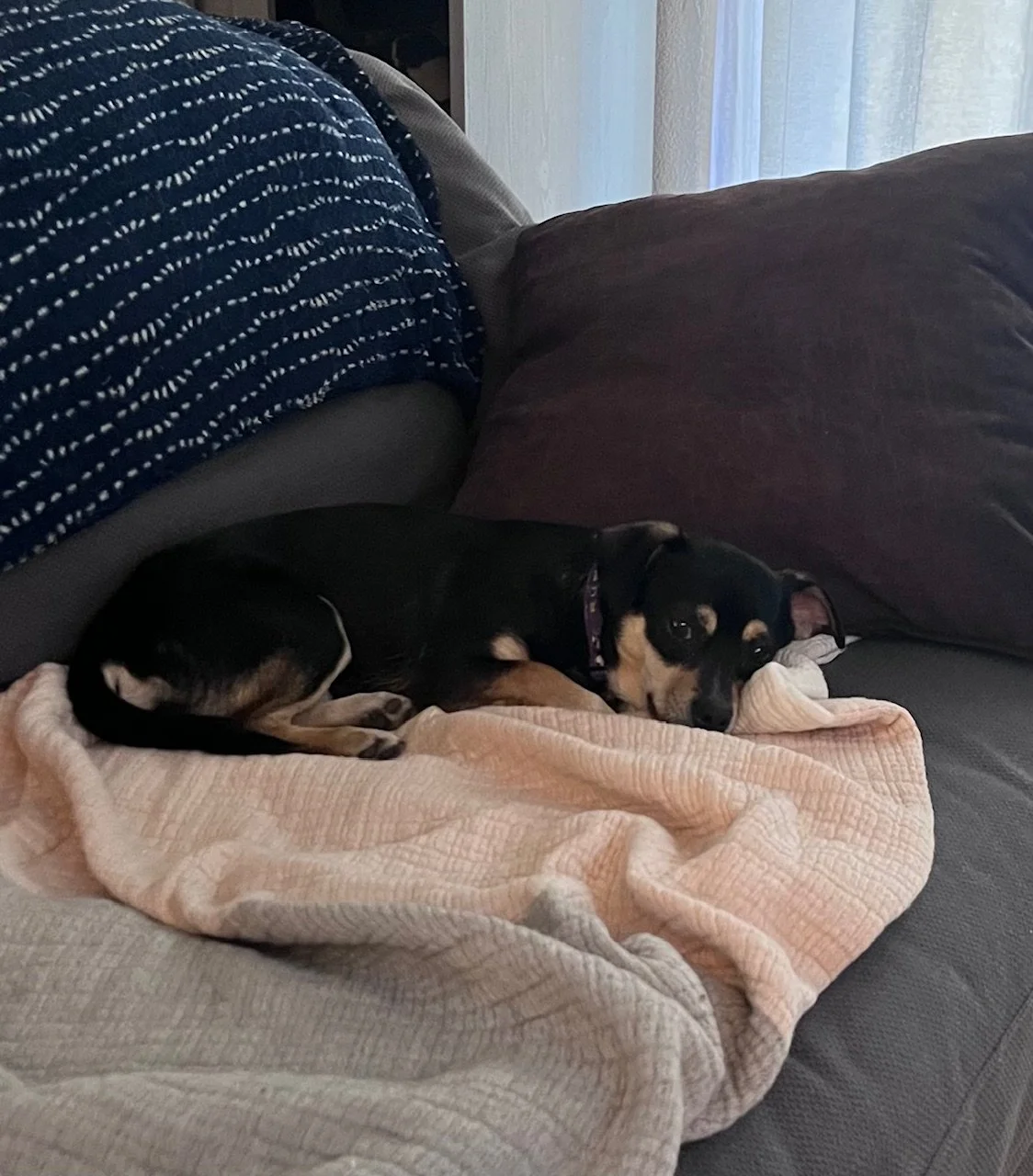 Maviscouch.jpeg