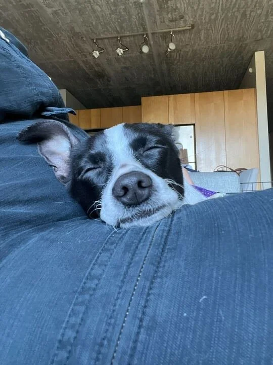 Bogeycuddles.jpg