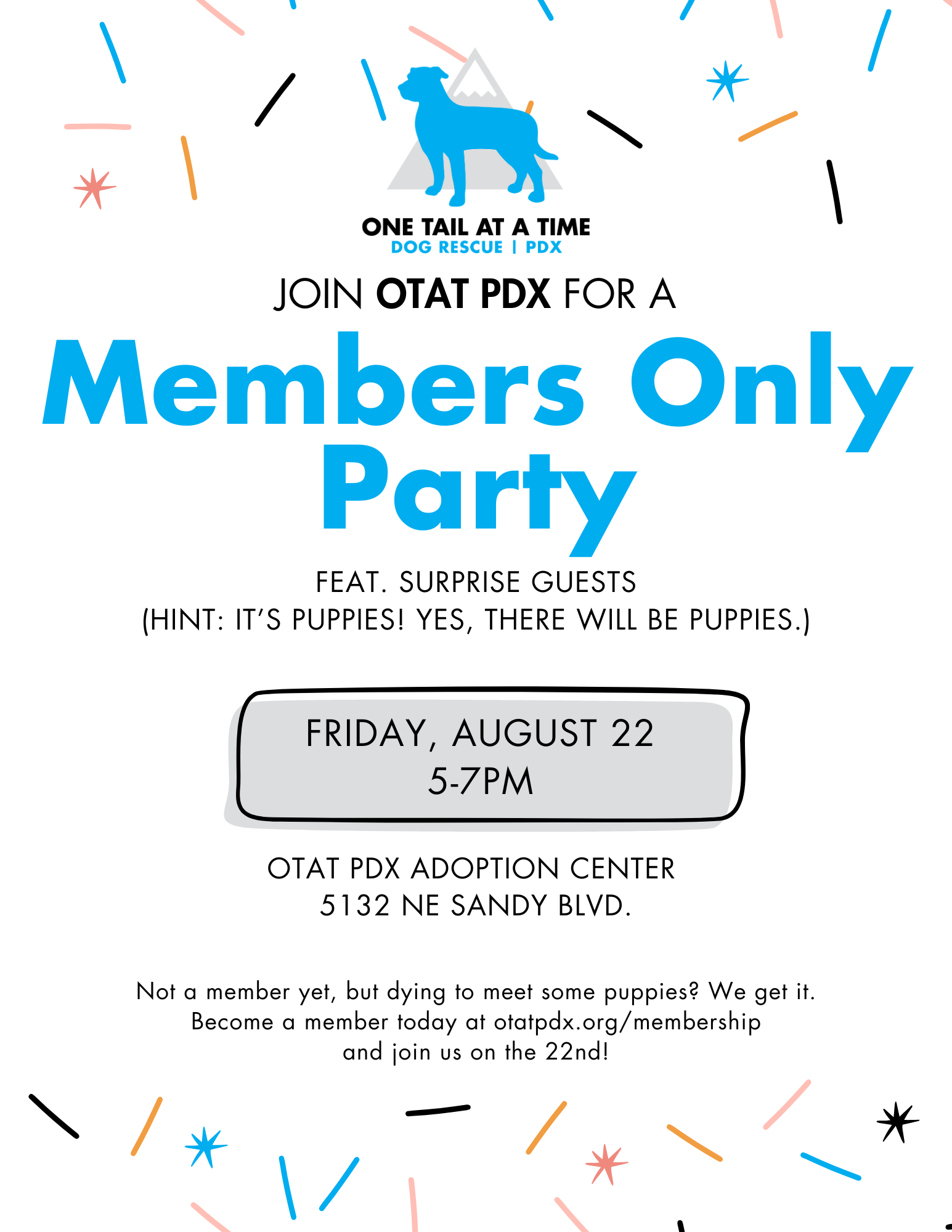Members Only Party (Ft. Surprise Puppy Guests)