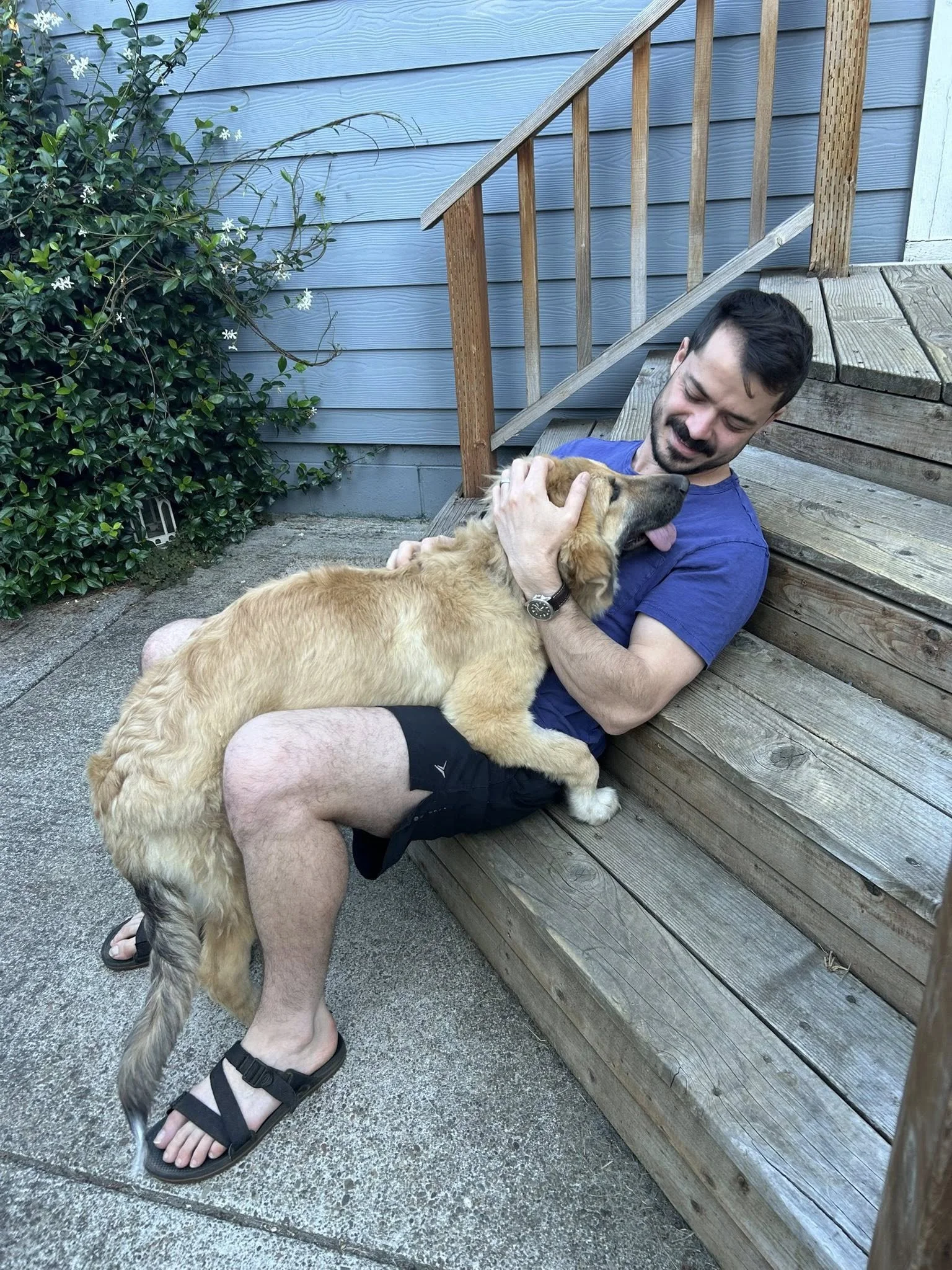 Ursacuddles.jpg