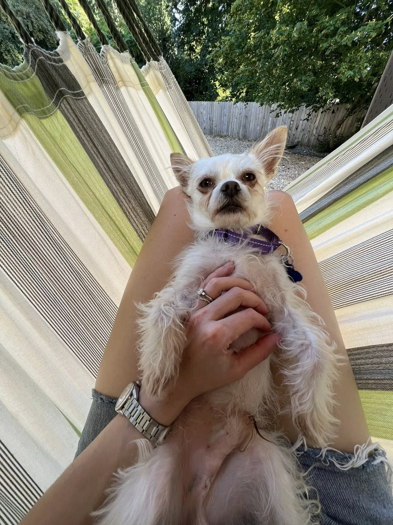 Erniehammock.jpg