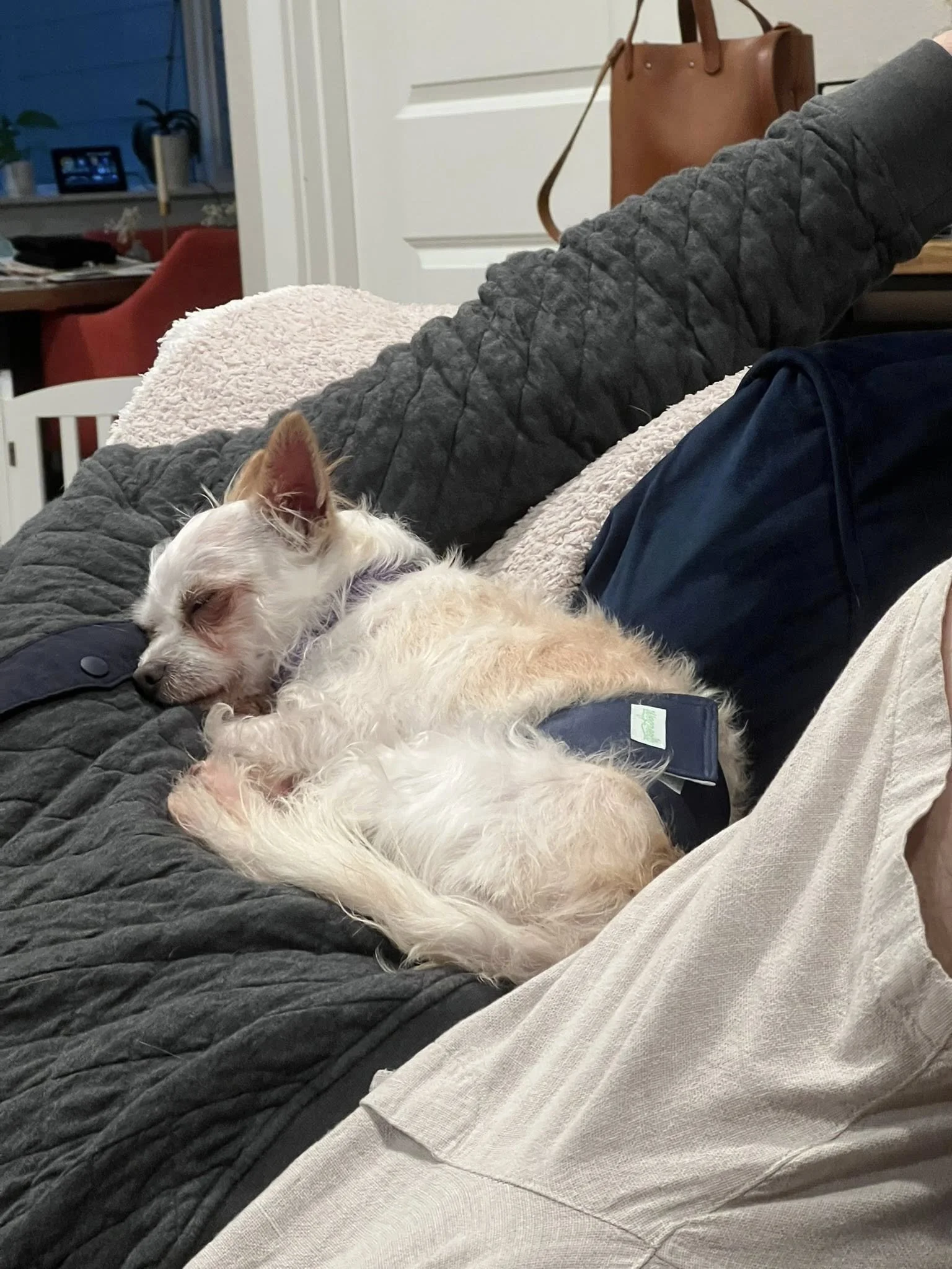 Erniesleeps.jpg