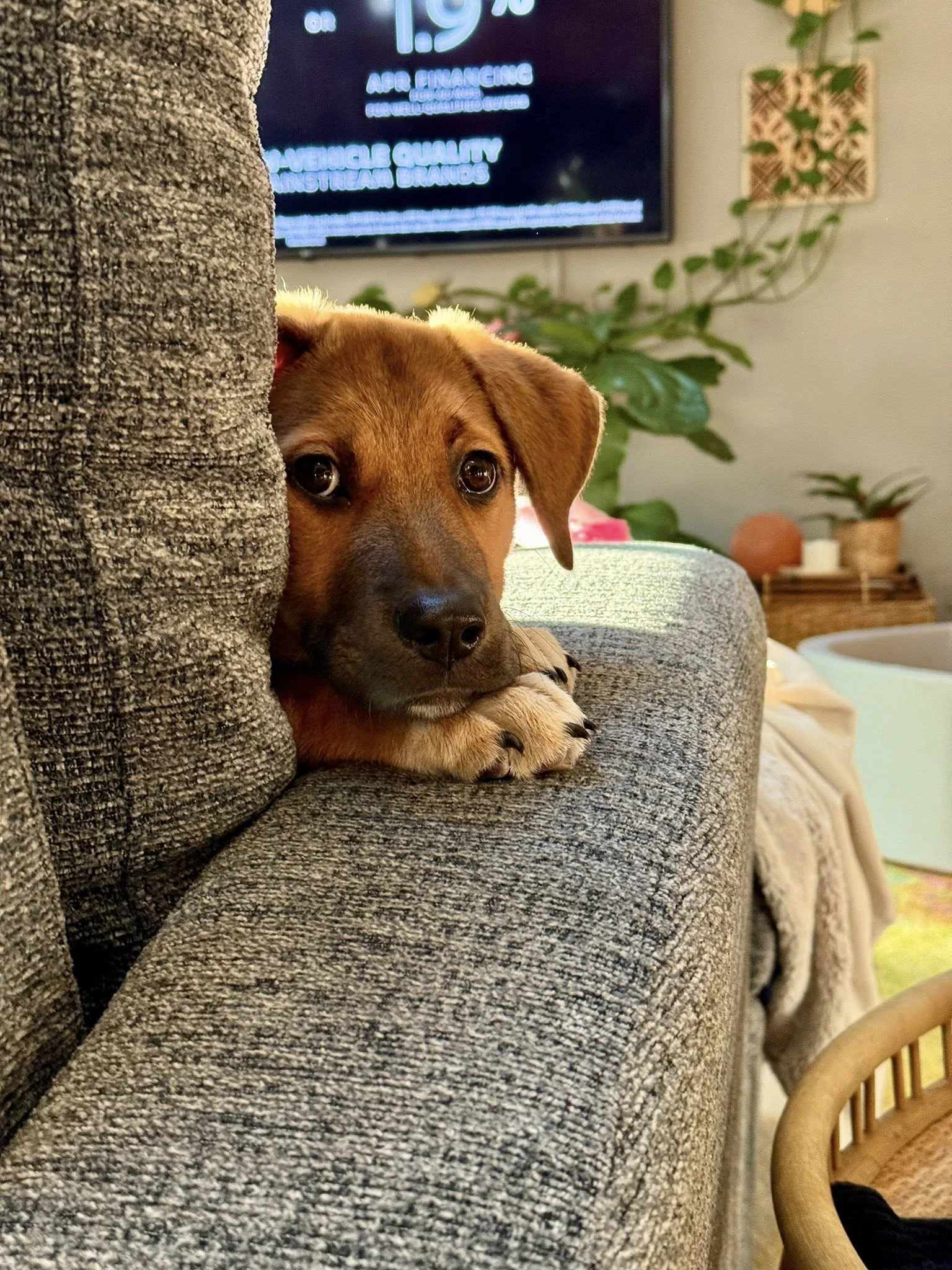 Sellyoncouch.jpg