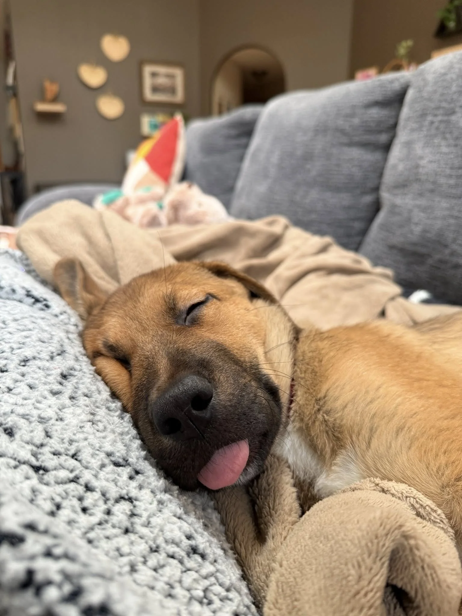 Sellytongueout.jpg