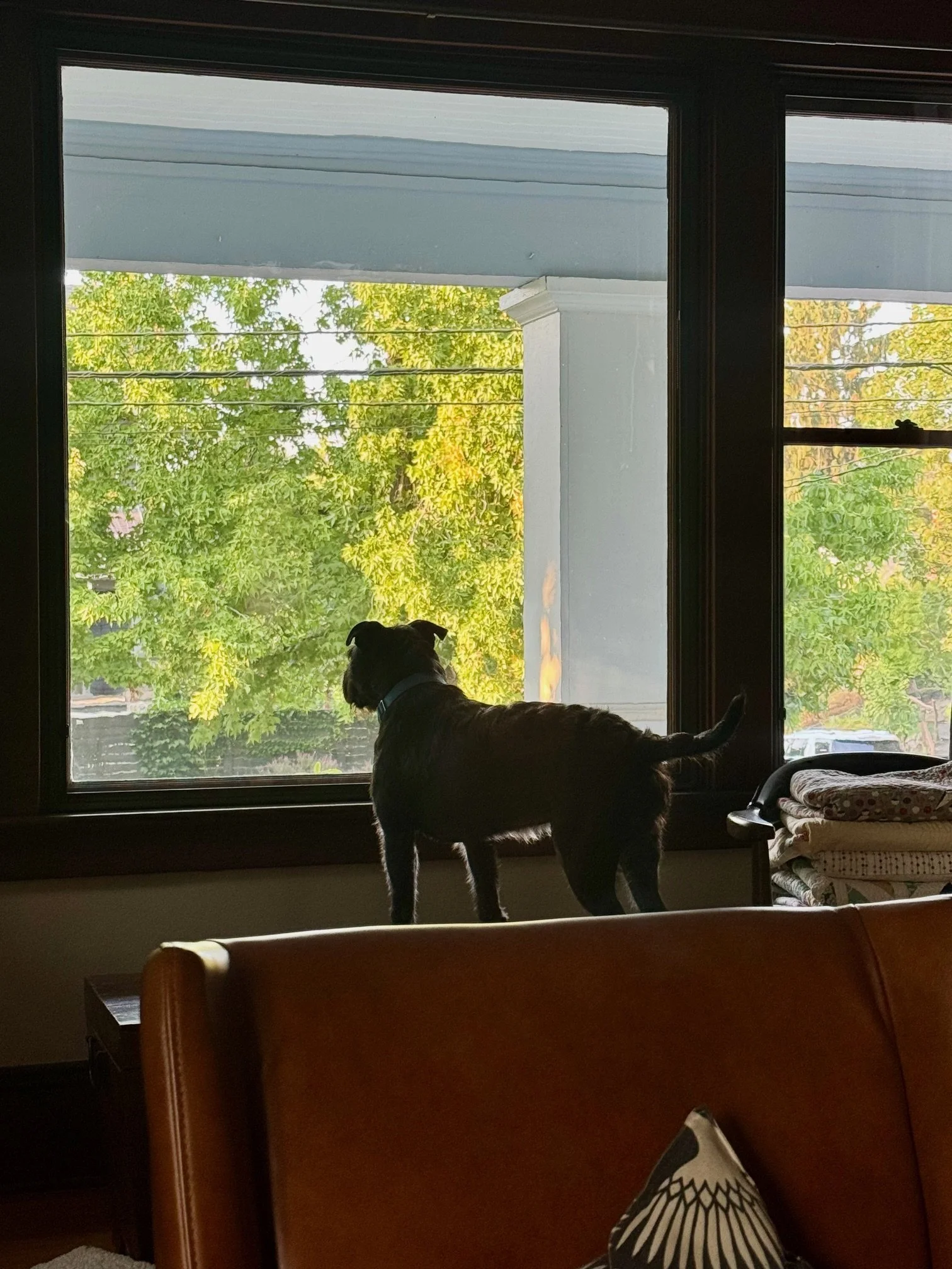 image5.jpeg