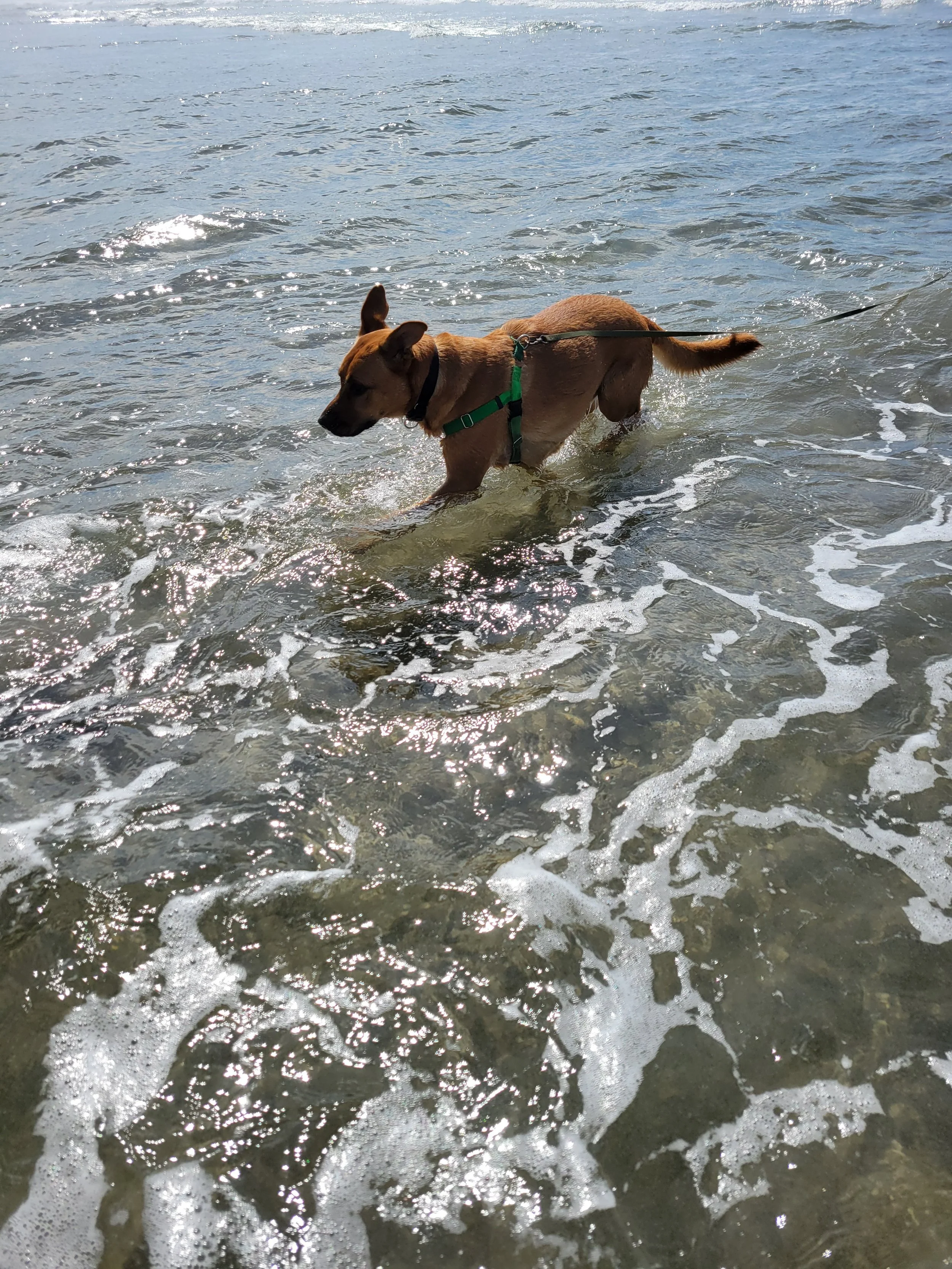 OleoNoraBeach3.jpg