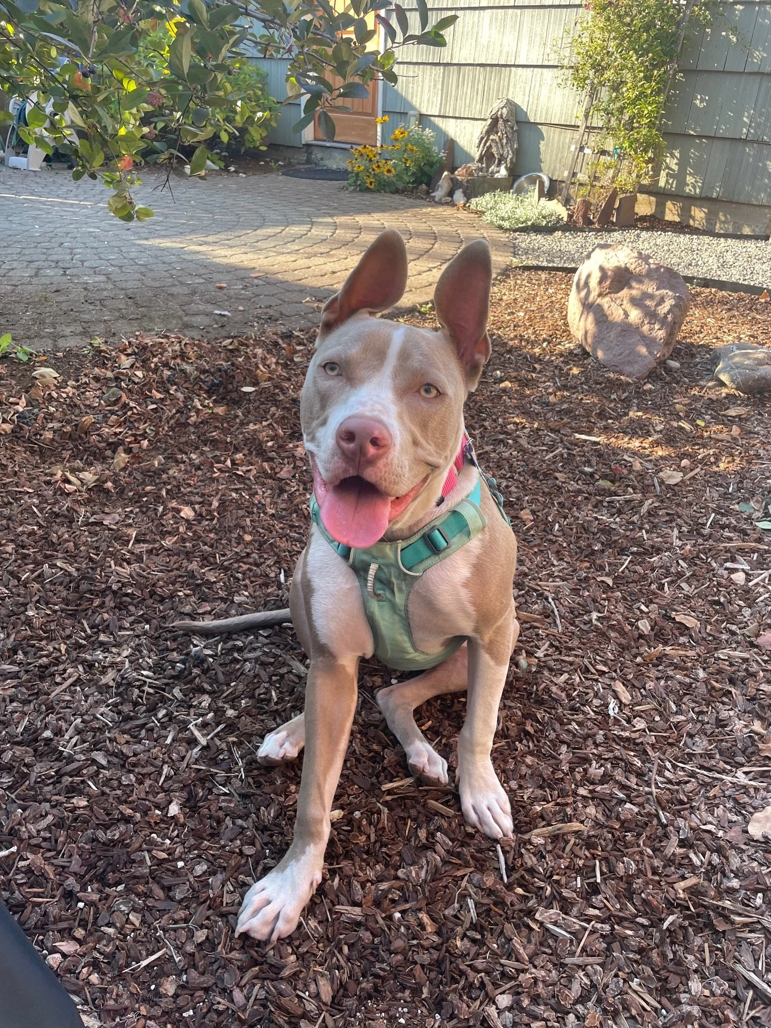 1. Billie - I’ll be at the AC for meet &amp; greets on 12/13!