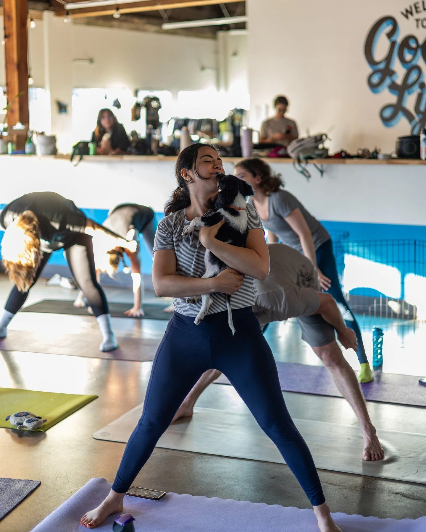 Foster Puppy Yoga is back! And just in time for peak coziness, because nothing says seasonal wellness like a downward dog covered in actual dogs.⁠
⁠
Join us this Saturday, October 11 from 10&ndash;11 AM at our Adoption Center for our first fall puppy