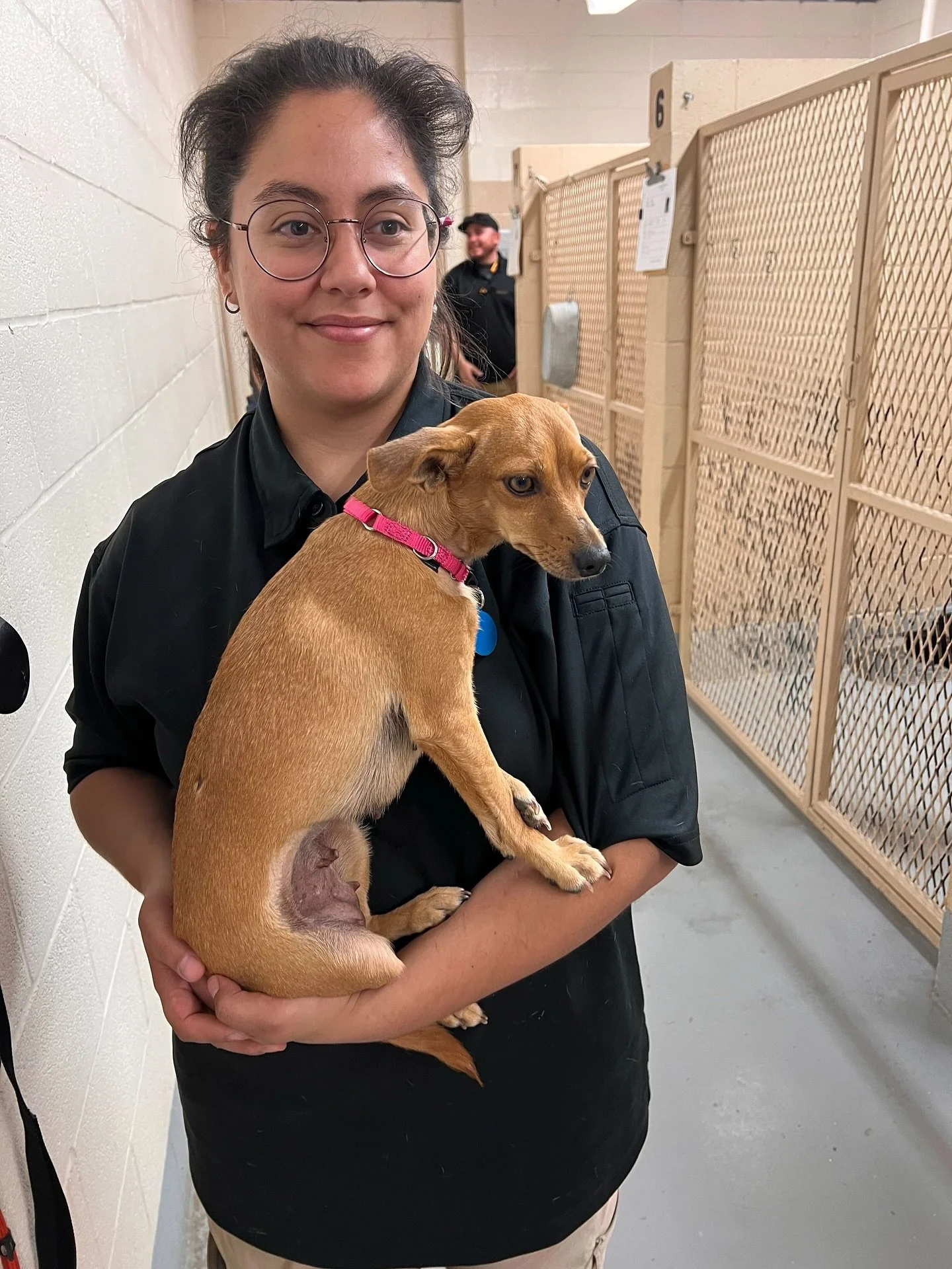 Two more dogs we met in far West Texas are Hill and Lightning. They both started their journeys at Pecos Animal Control. Hill was a frequent flyer of a local convenience store where she eluded humans until she was good n&rsquo; ready, while Lightning