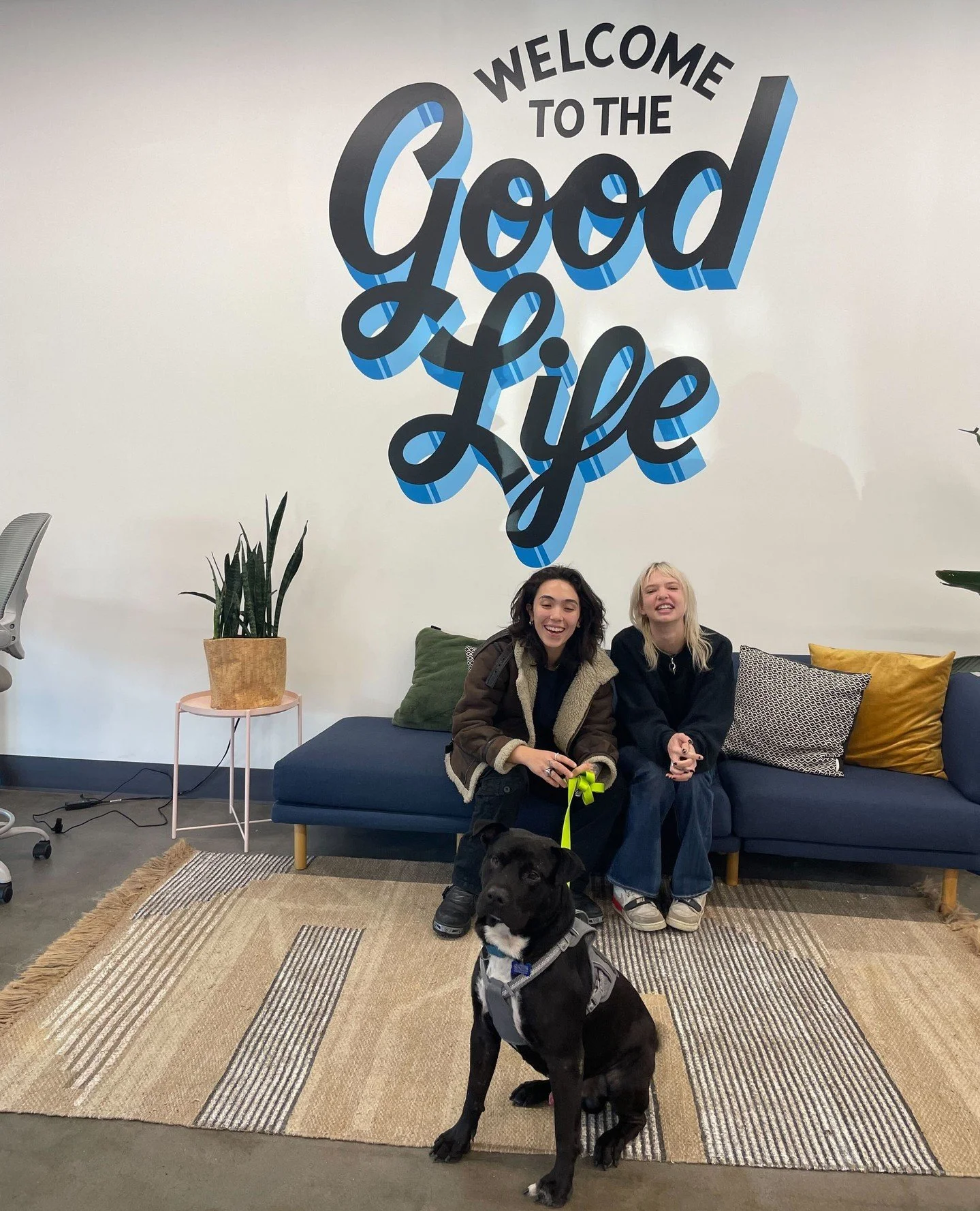 Forest came. He sat. He got adopted. It looks like his bold strategy paid off! 🐾✨⁠
⁠
All of our dogs live in foster homes, but every Thursday, Friday, and Saturday (when we&rsquo;re not running All Tails), we have at least one pup posted up at the A