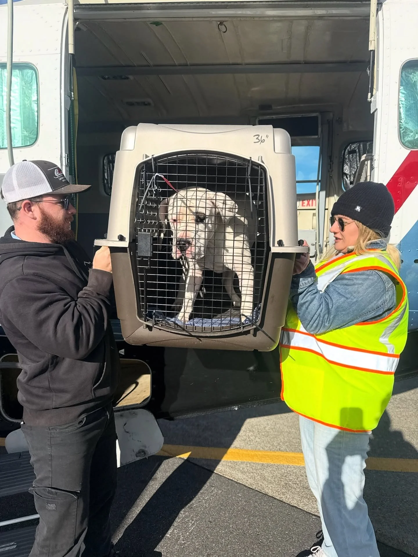 Night one of the Good Life World Tour. ✨🎤🐾
Our lineup? The 22 dogs from OTAT West Texas @otatwtx that landed this afternoon with Dog Is My Co-Pilot @dogismycopilotinc, each named after—yep—a Prince or Bowie song. These stars traveled f