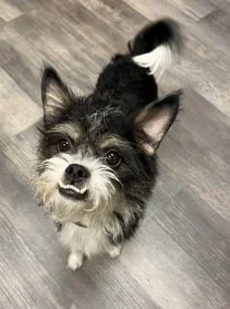 Angel, Angel, Grubby Face