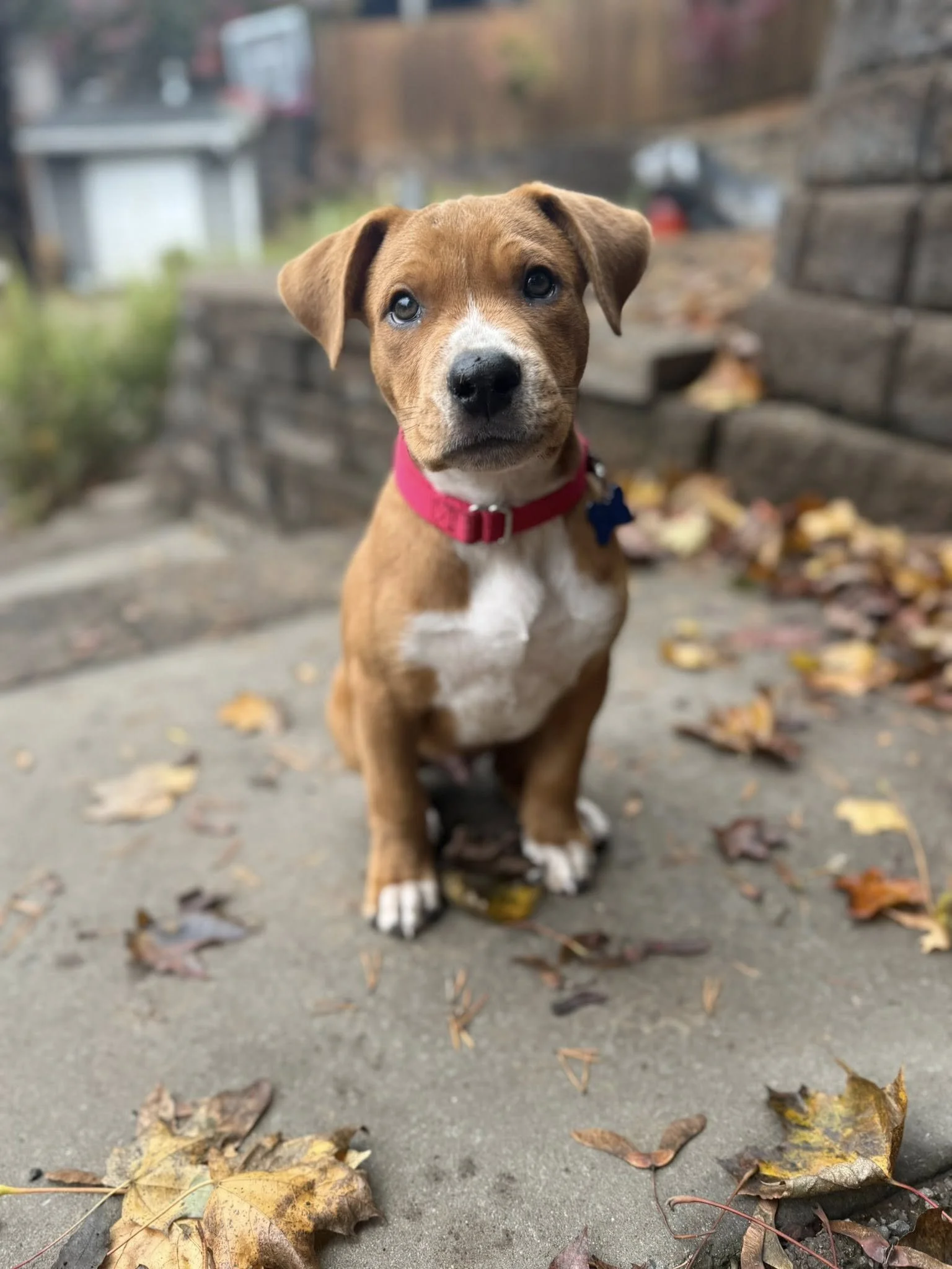 Partyman1.jpg