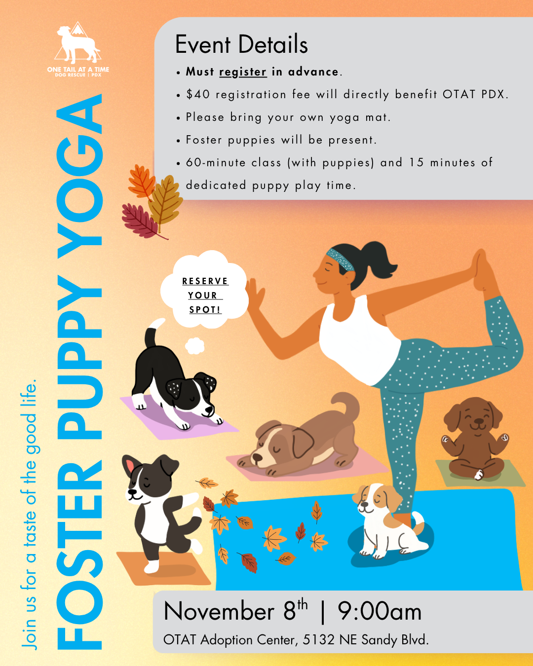 Foster Puppy Yoga