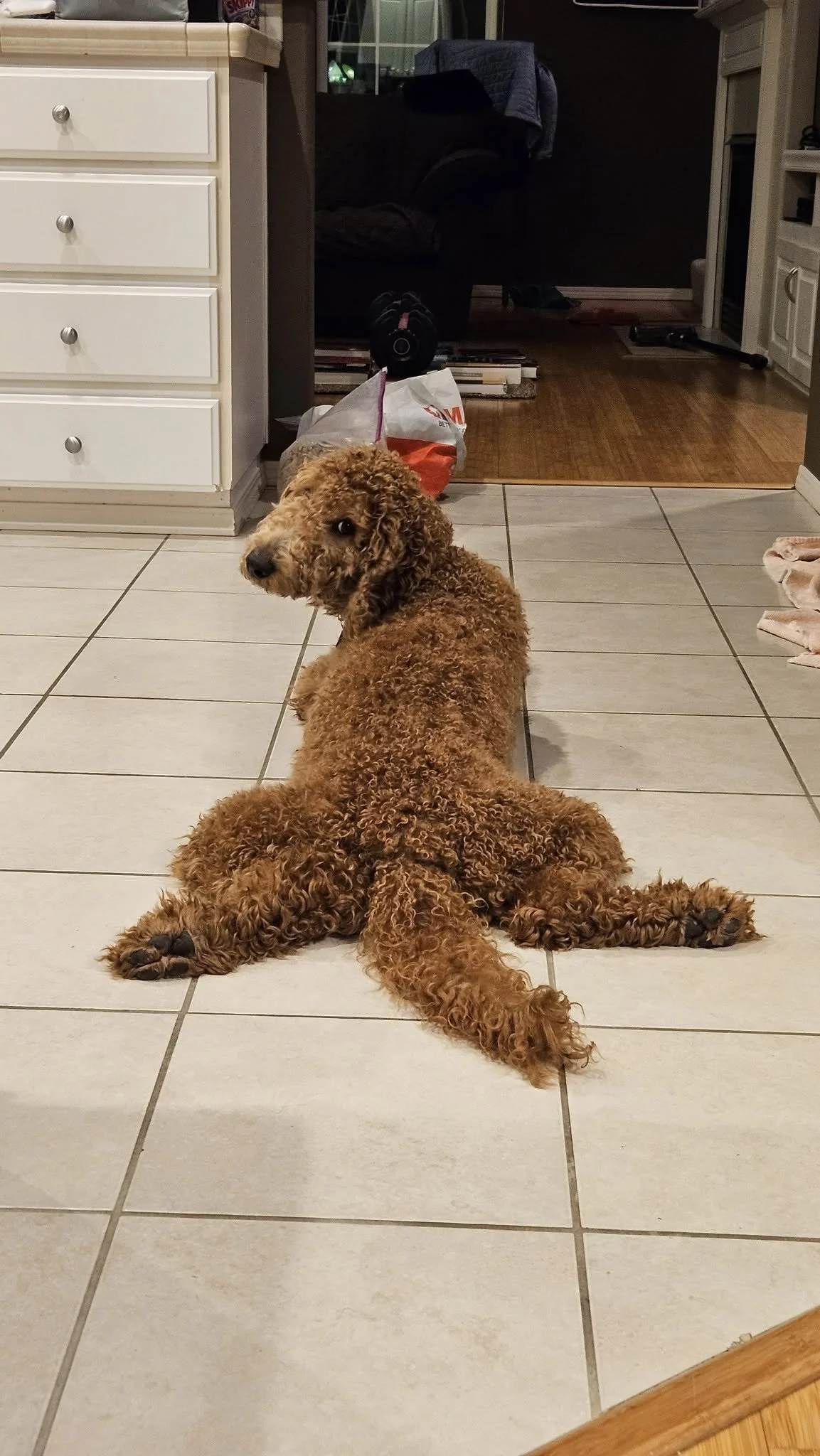 Fashionsploot.jpg