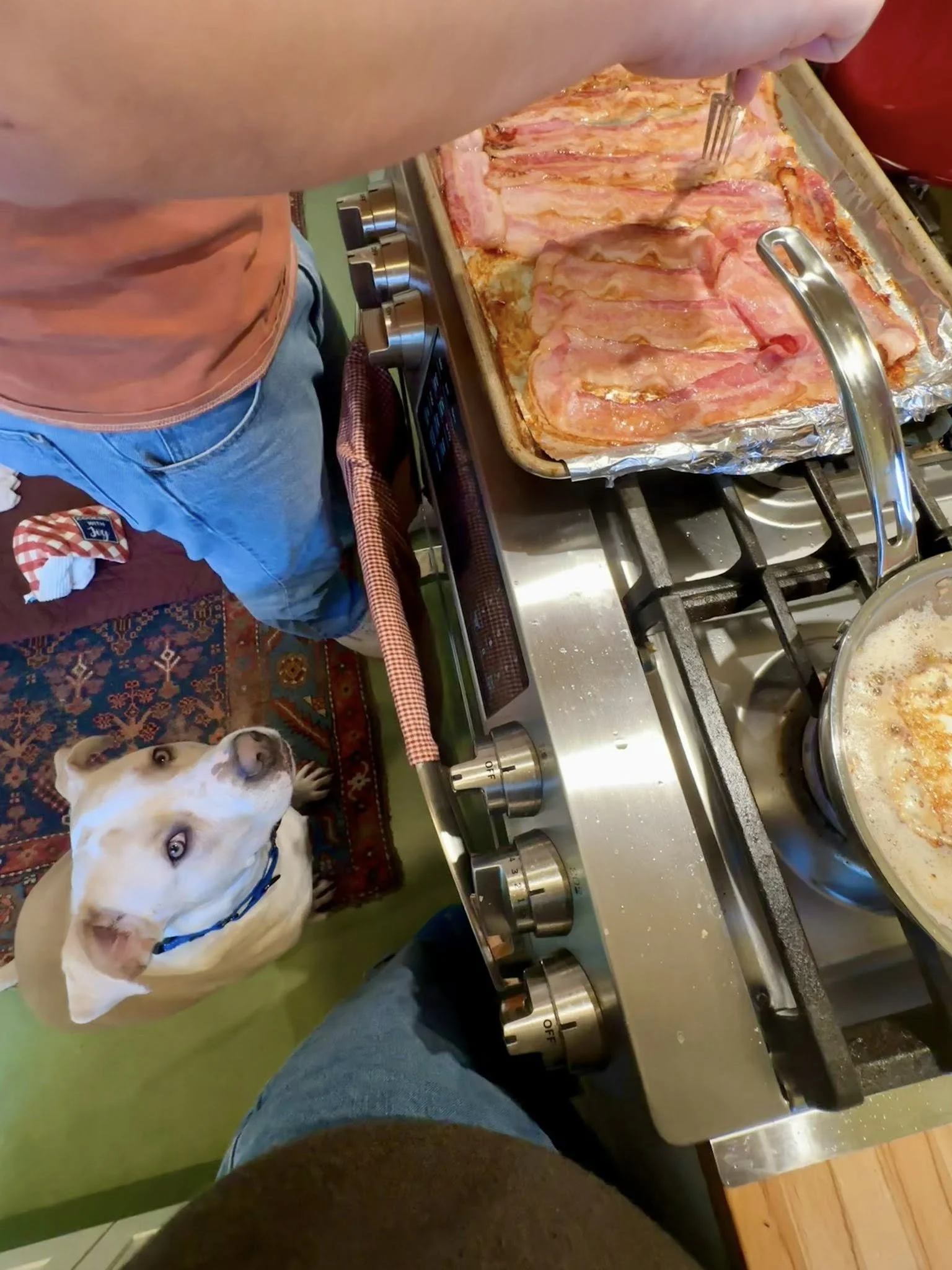 Quesoreturnsandwantsbacon.jpg