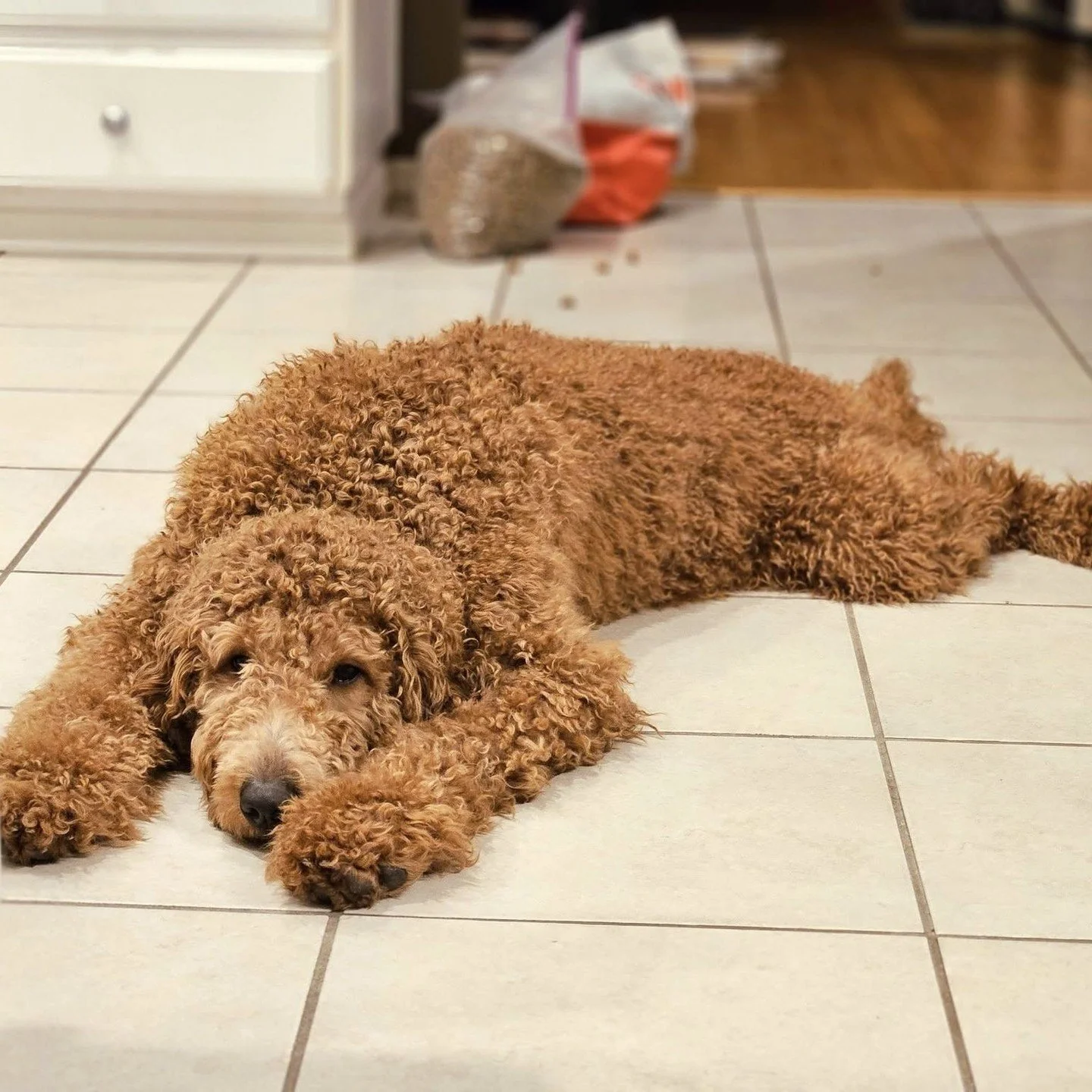 Fashion is beginning her weekend by lying face-down in the kitchen. Whatever she&rsquo;s doing, it feels therapeutic to us.