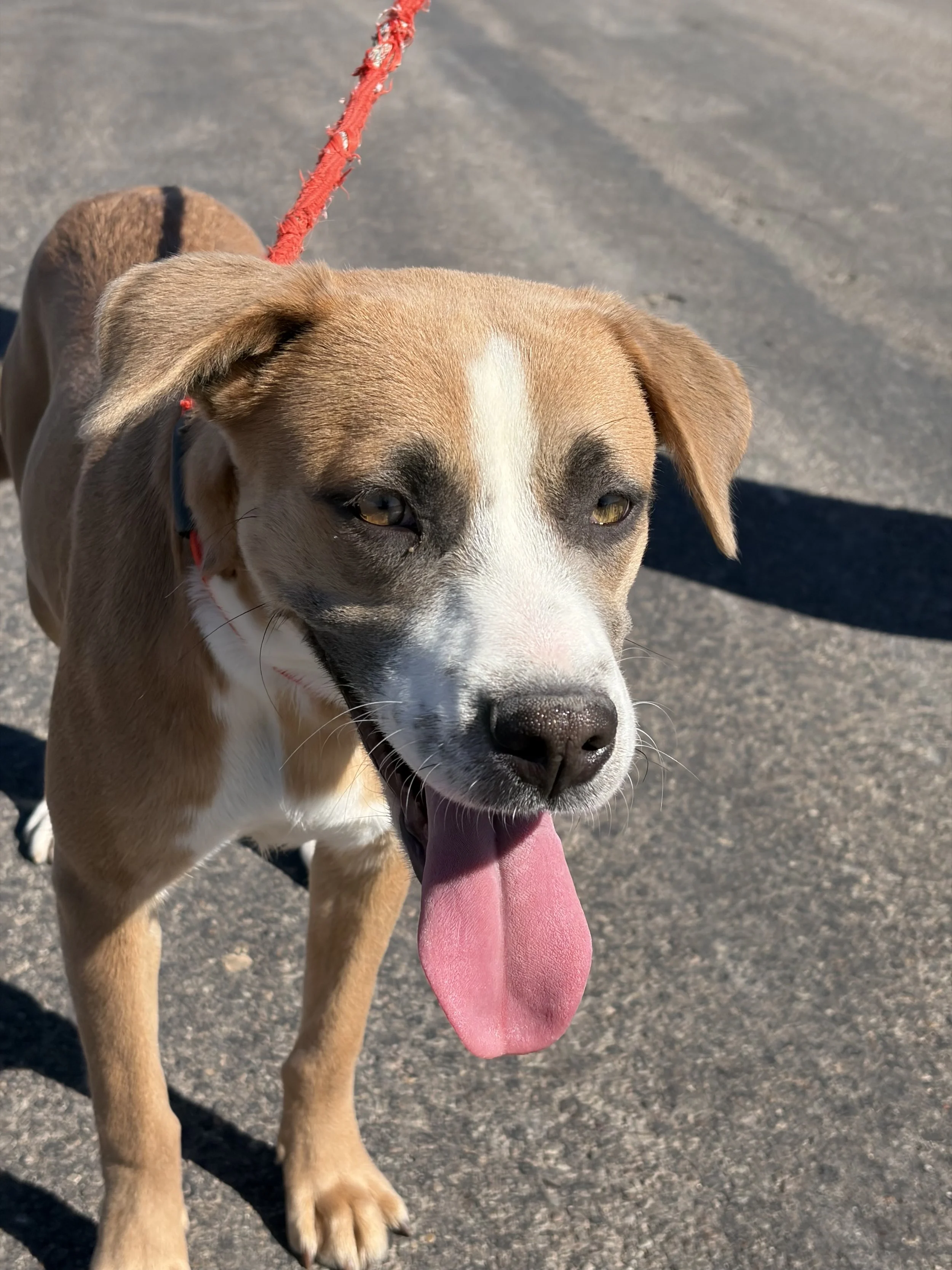 2025-10-23 18.24.26.jpg