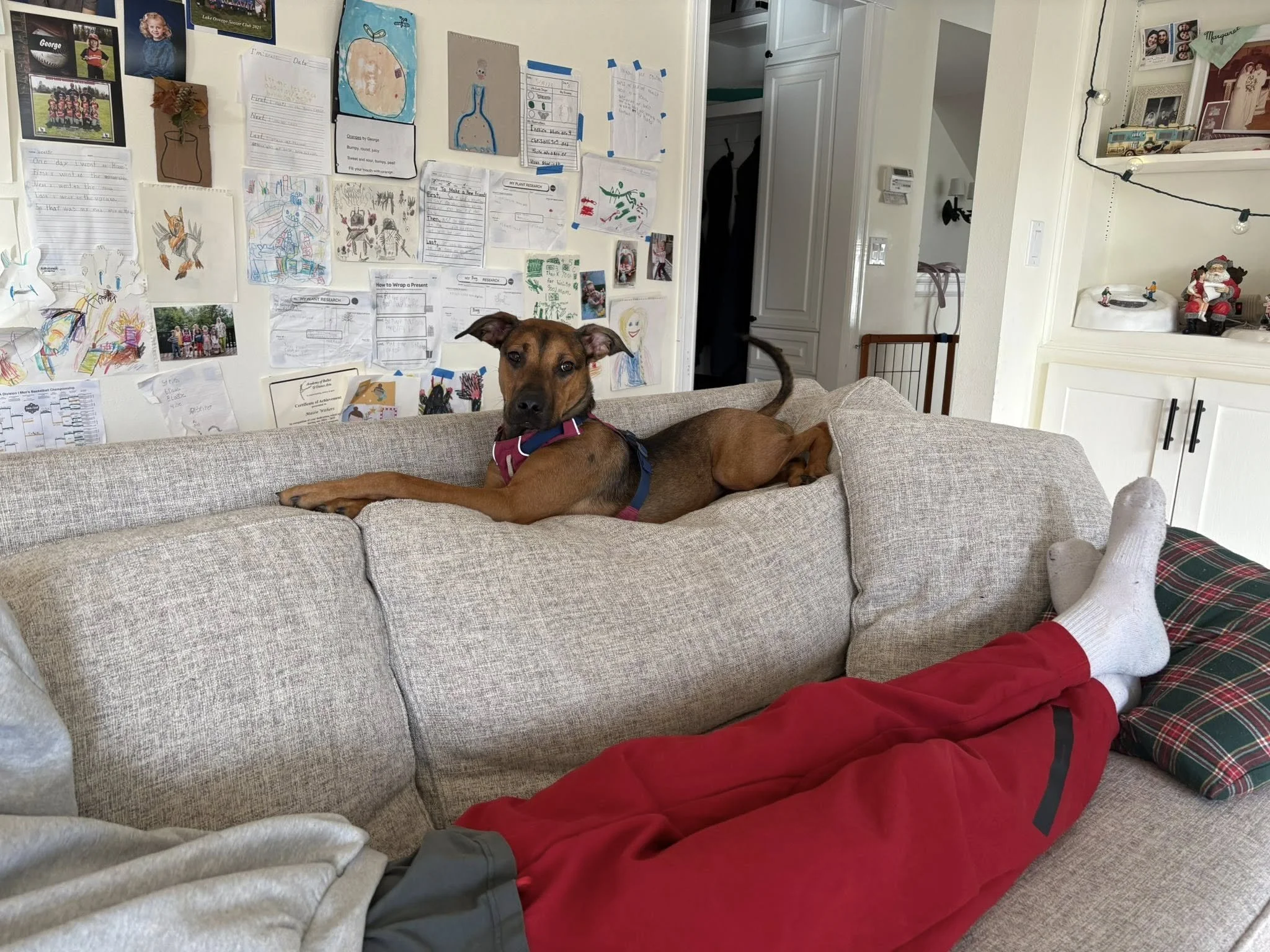 Agathacouchrelax.jpg