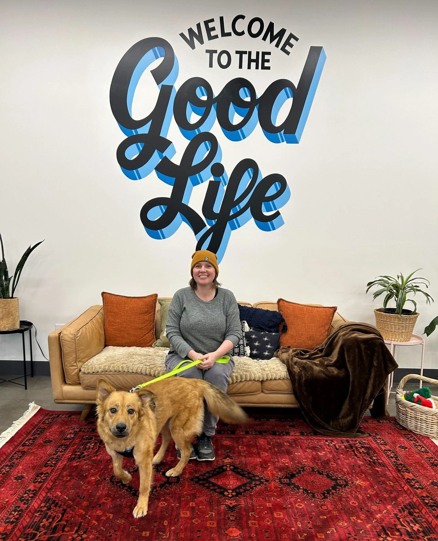 Yesterday we said, fingers crossed this is your last night as a free agent.⁠
St. Helens replied: bet.⁠
⁠
Our girl arrived at the Adoption Center and wasted no time erupting straight into the Good Life. 💙 Congrats to St. Helens and her new fam! We lo