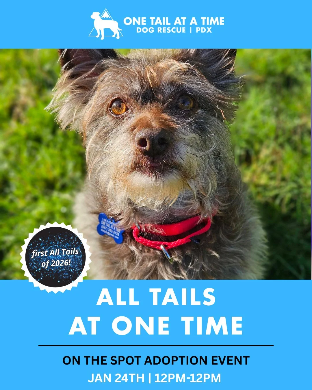 Conditions are favorable for this Saturday&rsquo;s (1/24) All Tails from 12&ndash;2PM. Names will be taken starting when we open at 10AM with the event starting at noon.⁠
⁠
The following landmarks will be visible from our Adoption Center: Bachelor, G