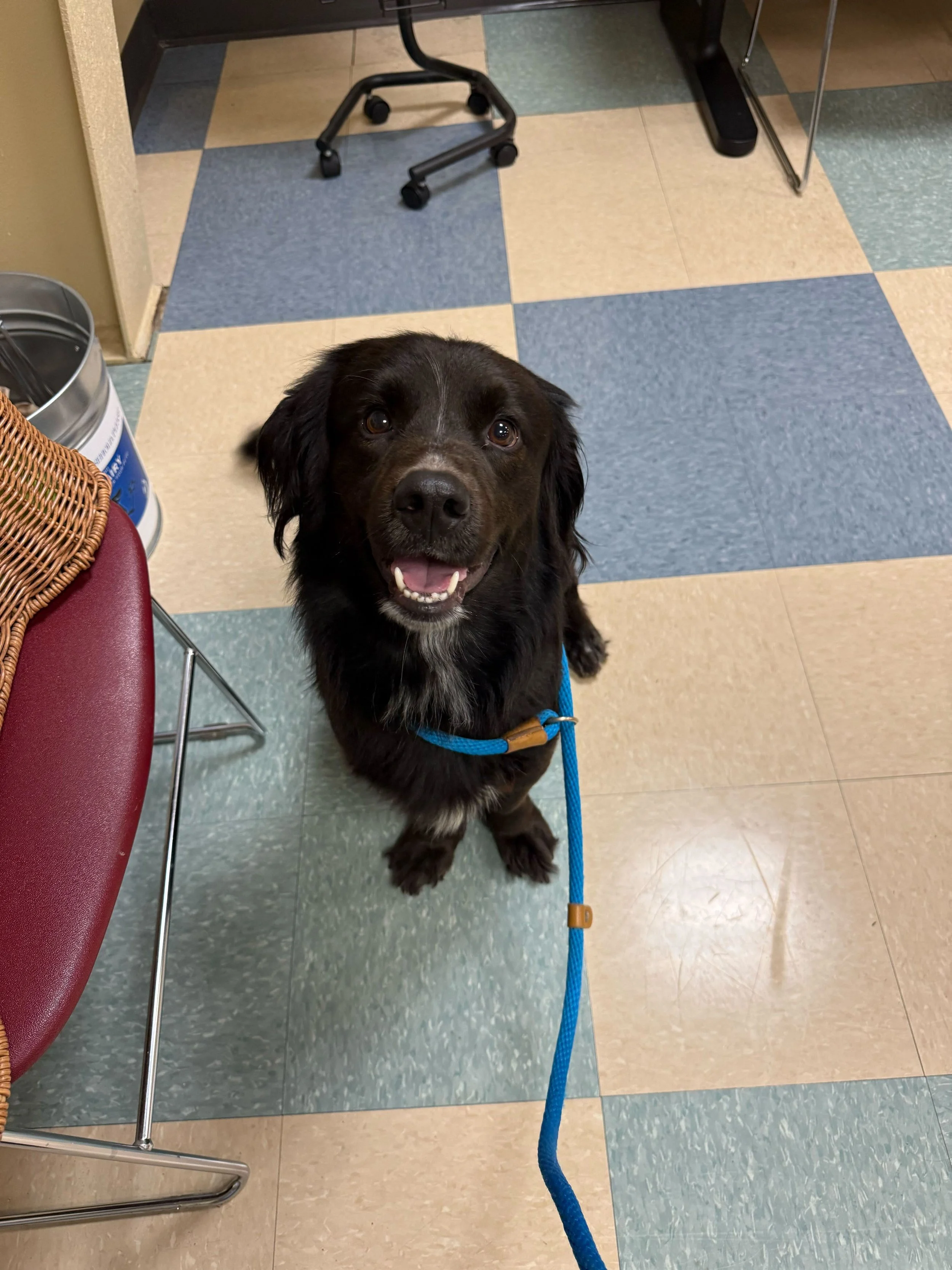 Martin - I’ll be at the AC for meet &amp; greets on 2/12!