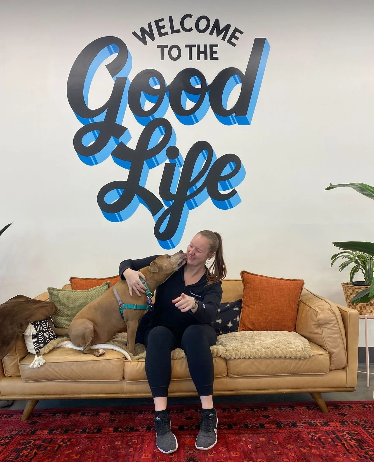 Update: it's amazing what 12 hours can do!⁠
⁠
Opie's adopter came in to meet him yesterday but wasn't able to take him home yet. Knowing that a dog's best bet is often with who can welcome them soonest, we believe these things have a funny way of wor