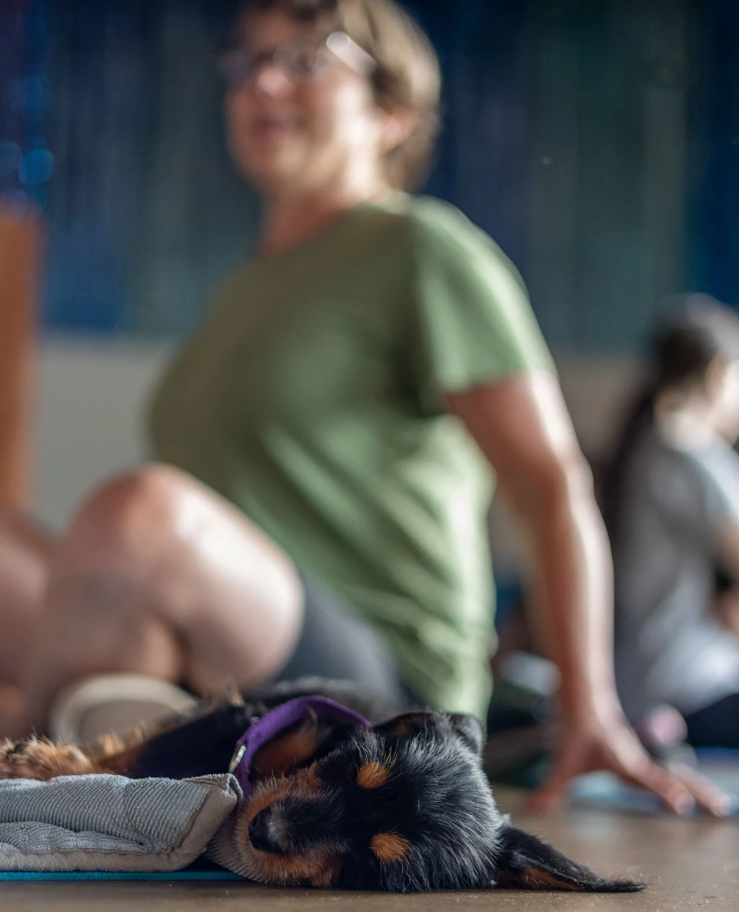 Valentine&rsquo;s Day, the OTAT way: with puppies! It's how we give and receive love.⁠
⁠
Which is why we're doing a special 💕Valentine's Day Puppy Yoga double header at the Adoption Center on Saturday, 2/14. With 2 classes to choose from at 9:00am +