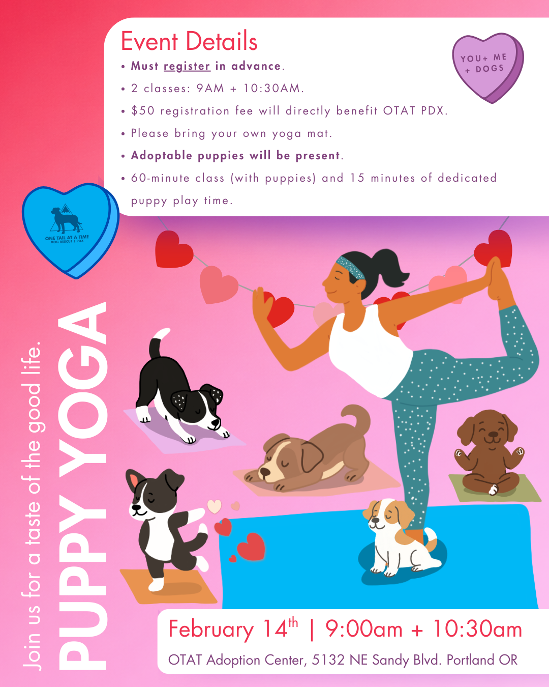 Puppy Yoga - Valentine’s Day Edition