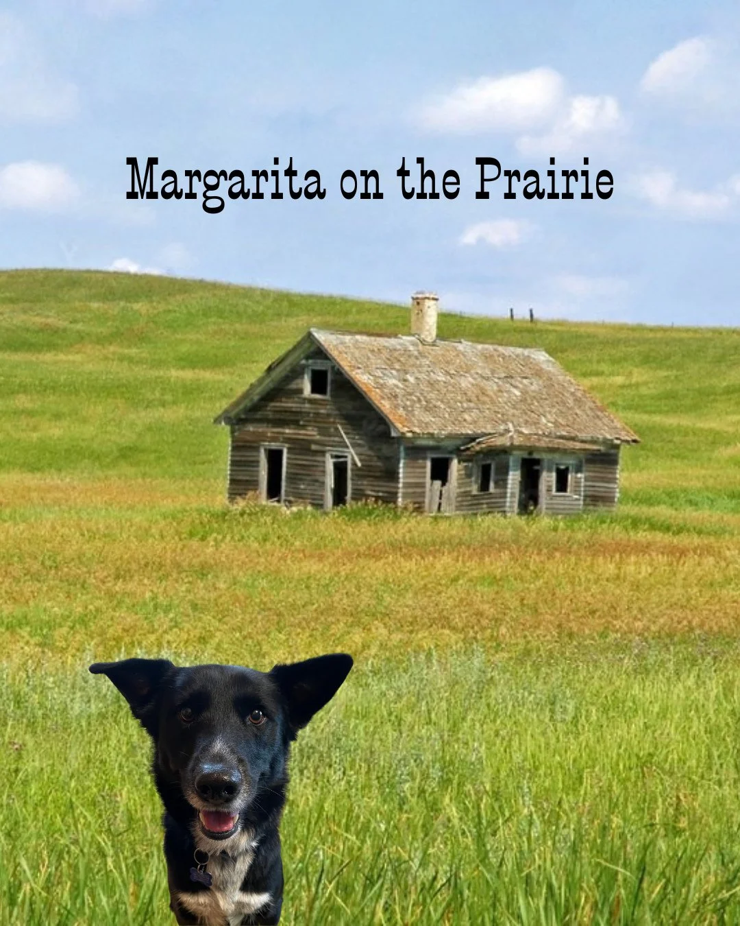 Our more particular dogs are lucky to have a deep bench of humans ready to advocate for them. After spending more time with her, one of our trainers helped Mags articulate her feelings and put pen to paper on what she wants exactly. Here's what they 