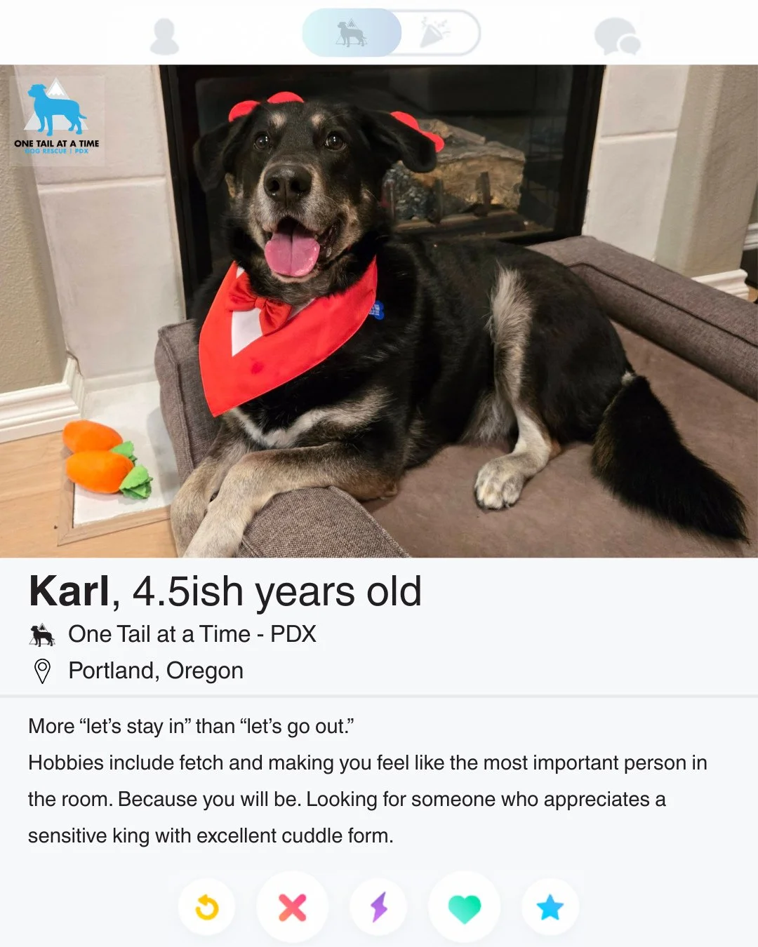 This Valentine&rsquo;s Day, skip the situationship. Adopt Karl.⁠
⁠
Just swipe right to find your match: otatpdx.org/dogs/karl