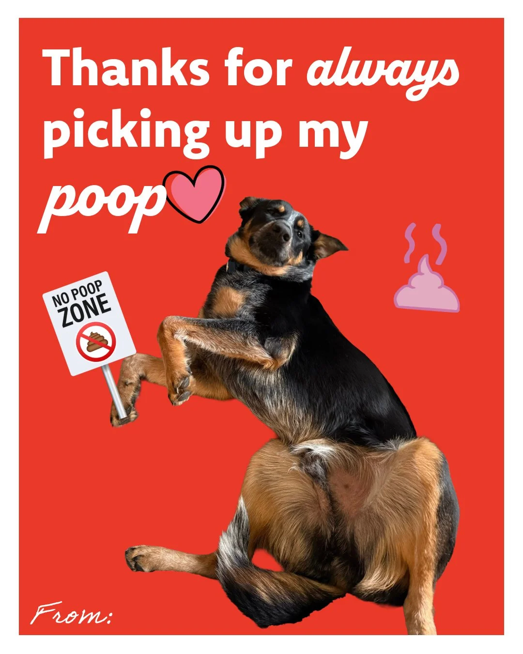 Happy Valentine's Day! 💌 

To: You
Love: Adoptable dogs