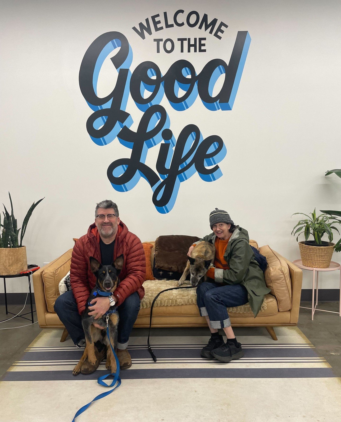 Love was in the air last week at the Adoption Center for a few dogs and a very successful (Sm)All Tails crew.⁠
⁠
And for Bachelor, it felt especially significant because he is officially a bachelor no more! Some dogs take a less linear path to the Go