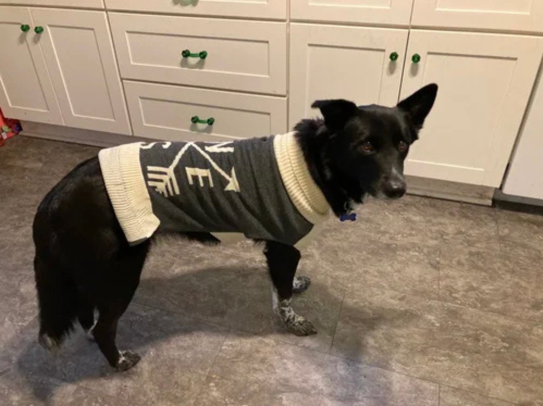 Margarita has been keeping warm inside while she waits for person. And let&rsquo;s just say that her love feels like being wrapped in a sweater (just like the one she&rsquo;s wearing).