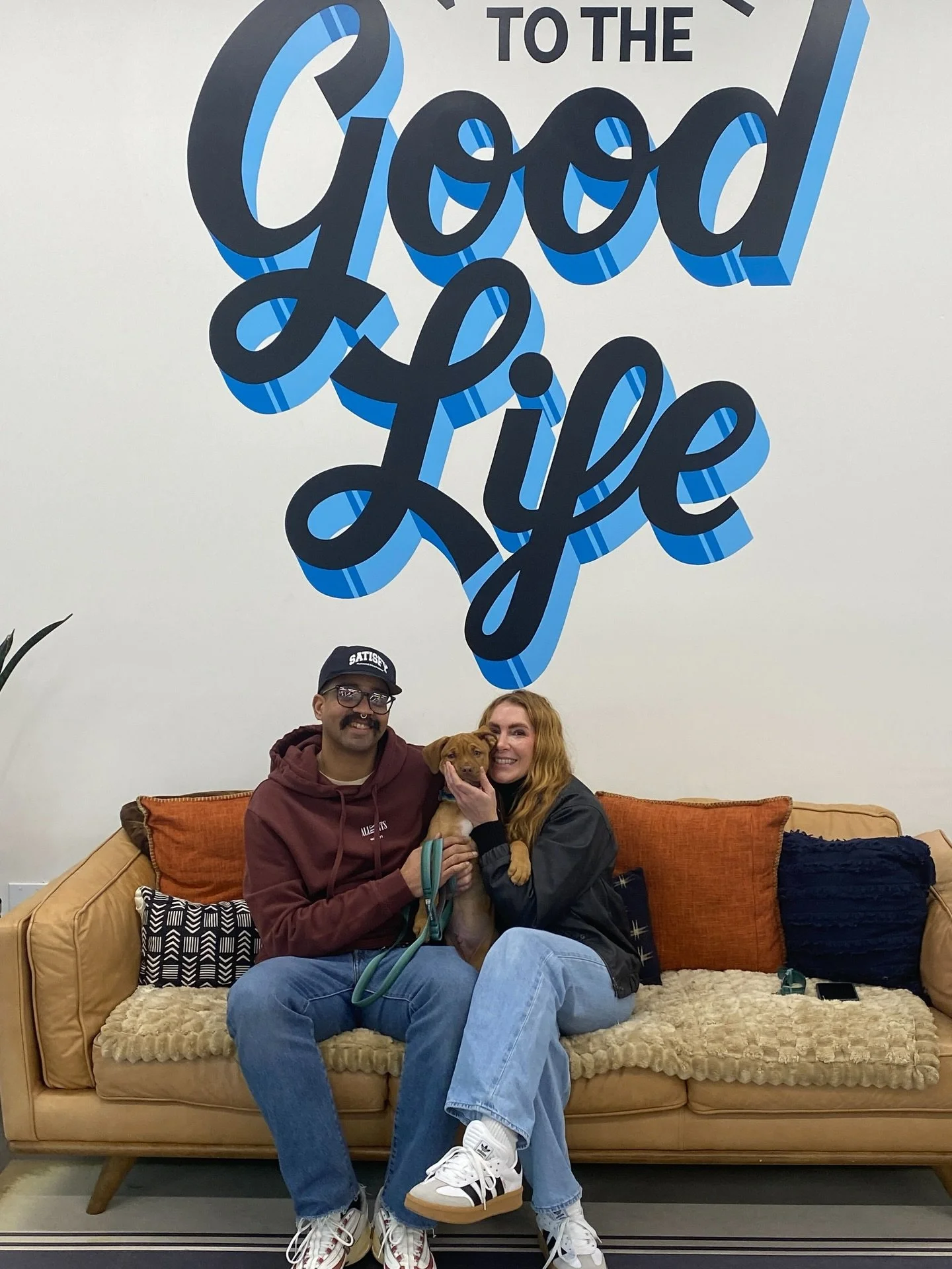 🎤 🎶 One, two, three, four, 26 dogs have found what they&rsquo;ve been looking for... the Good Life and a Happy Tails photo.

Congrats to Ike, Milky Way, Sunny-D, Pixie Stix, St Helens, Crunch Bar, Pudding Pop, Whatchamacallit, Goldfish, Ring Pop, G