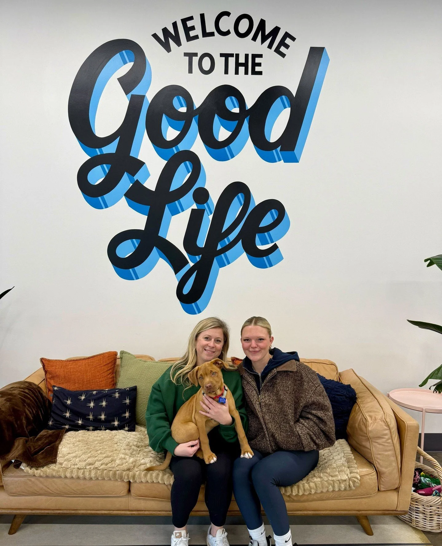 Three dogs walked into our Adoption Center today and two left adopted.⁠
⁠
Like we mentioned earlier, they can&rsquo;t provide literal heat like the sunshine, but they&rsquo;re definitely responsible for the glow in these photos.⁠
⁠
We love to see the