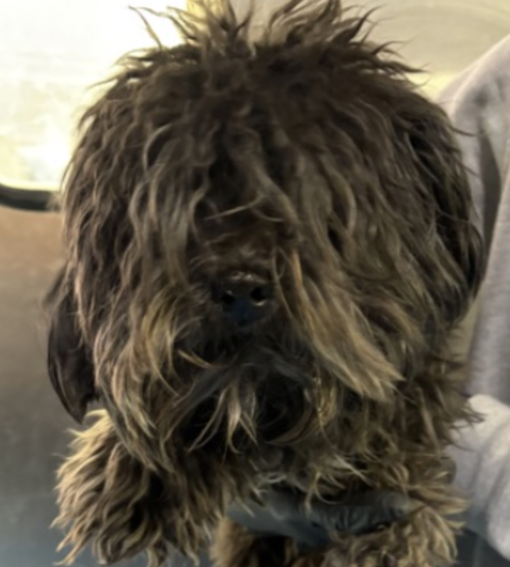 Jonathan Levinson.png