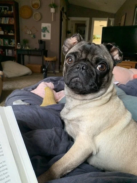 Flo - I’ll be at All Tails on 3/14!