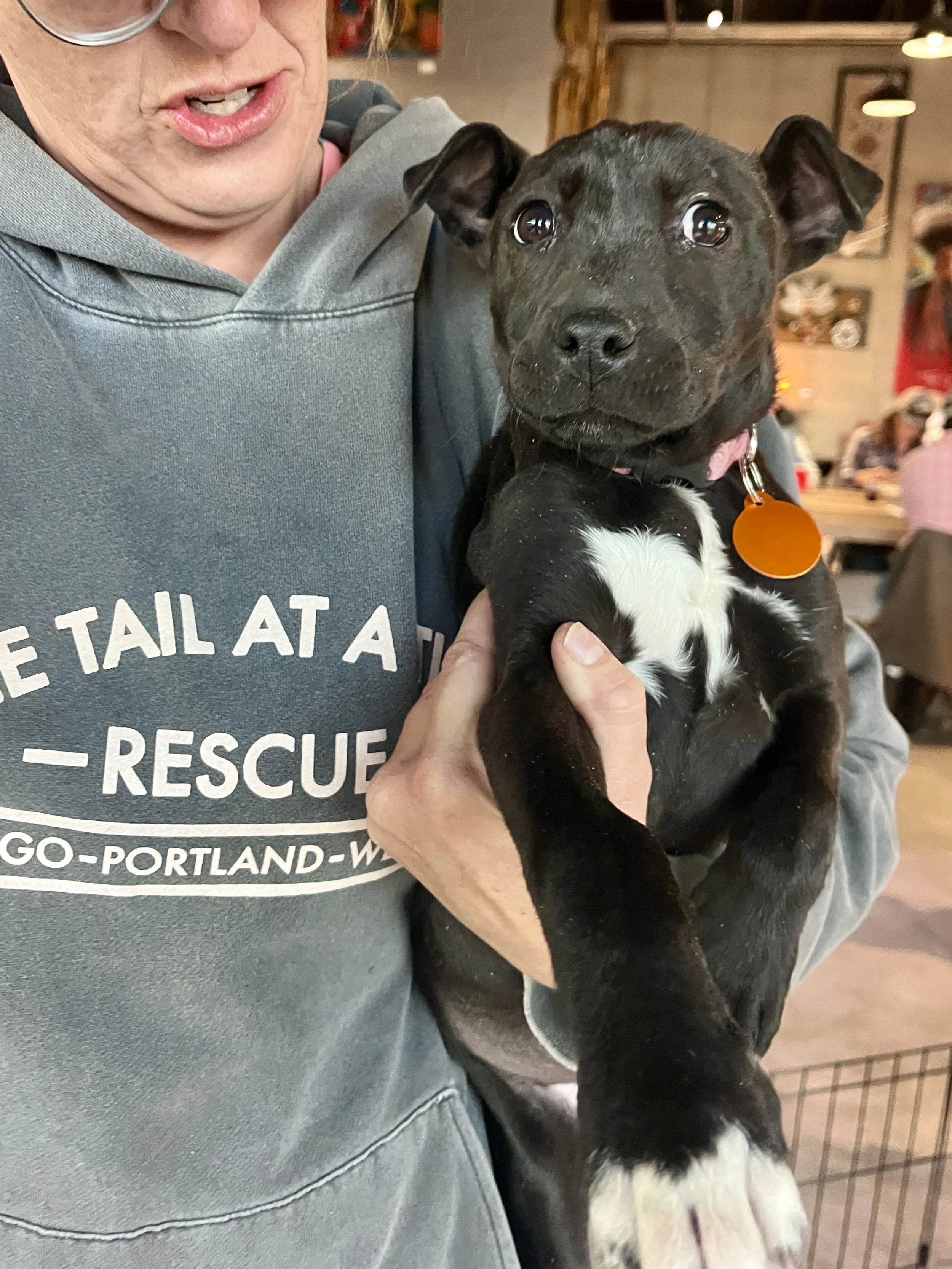 2026-02-24 20.26.26 (2).jpg