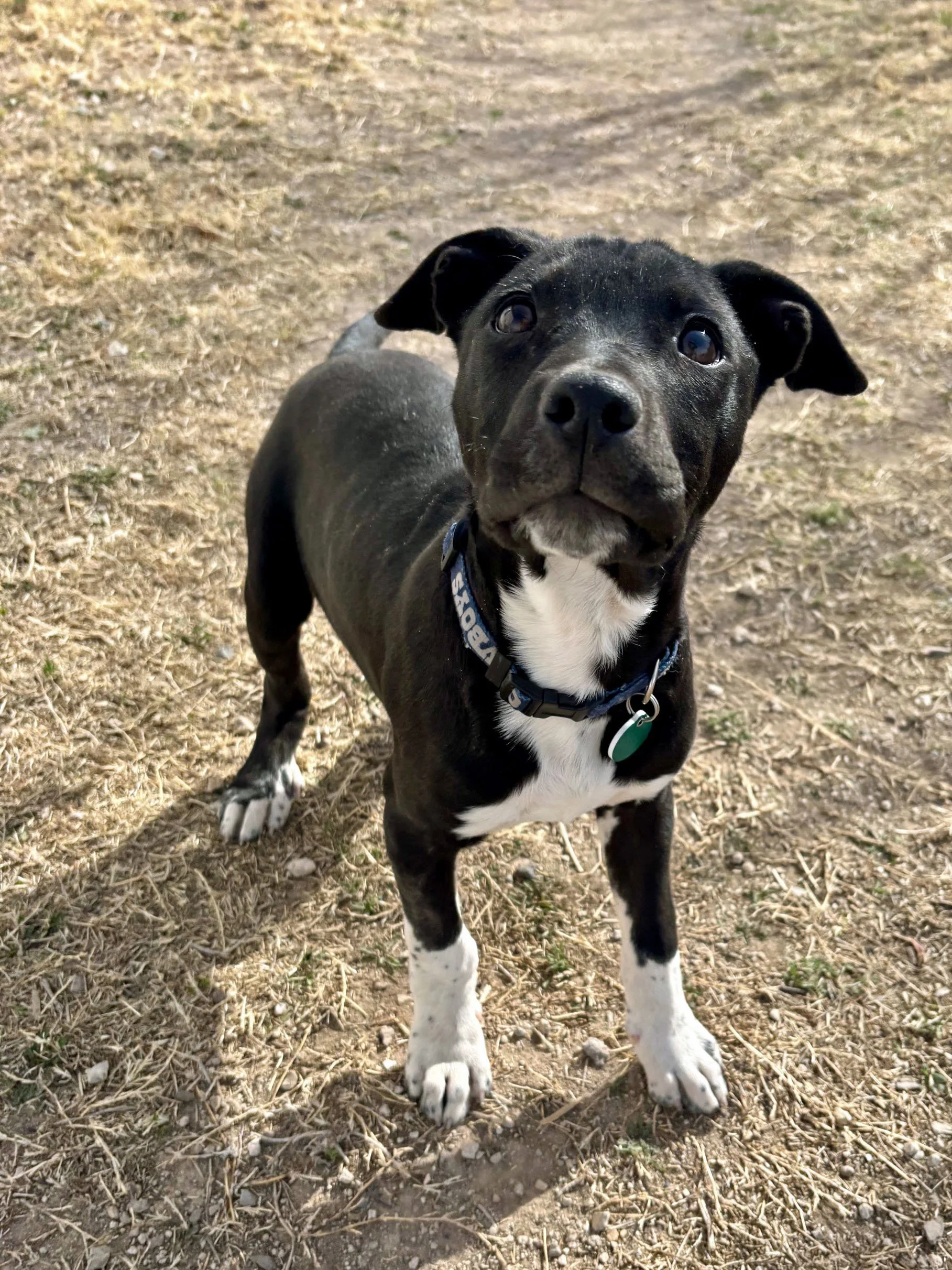 Linc 2-22-26 (1).jpg