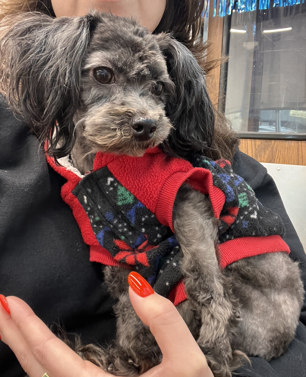 Screenshot 2026-03-12 at 6.51.37 PM.png