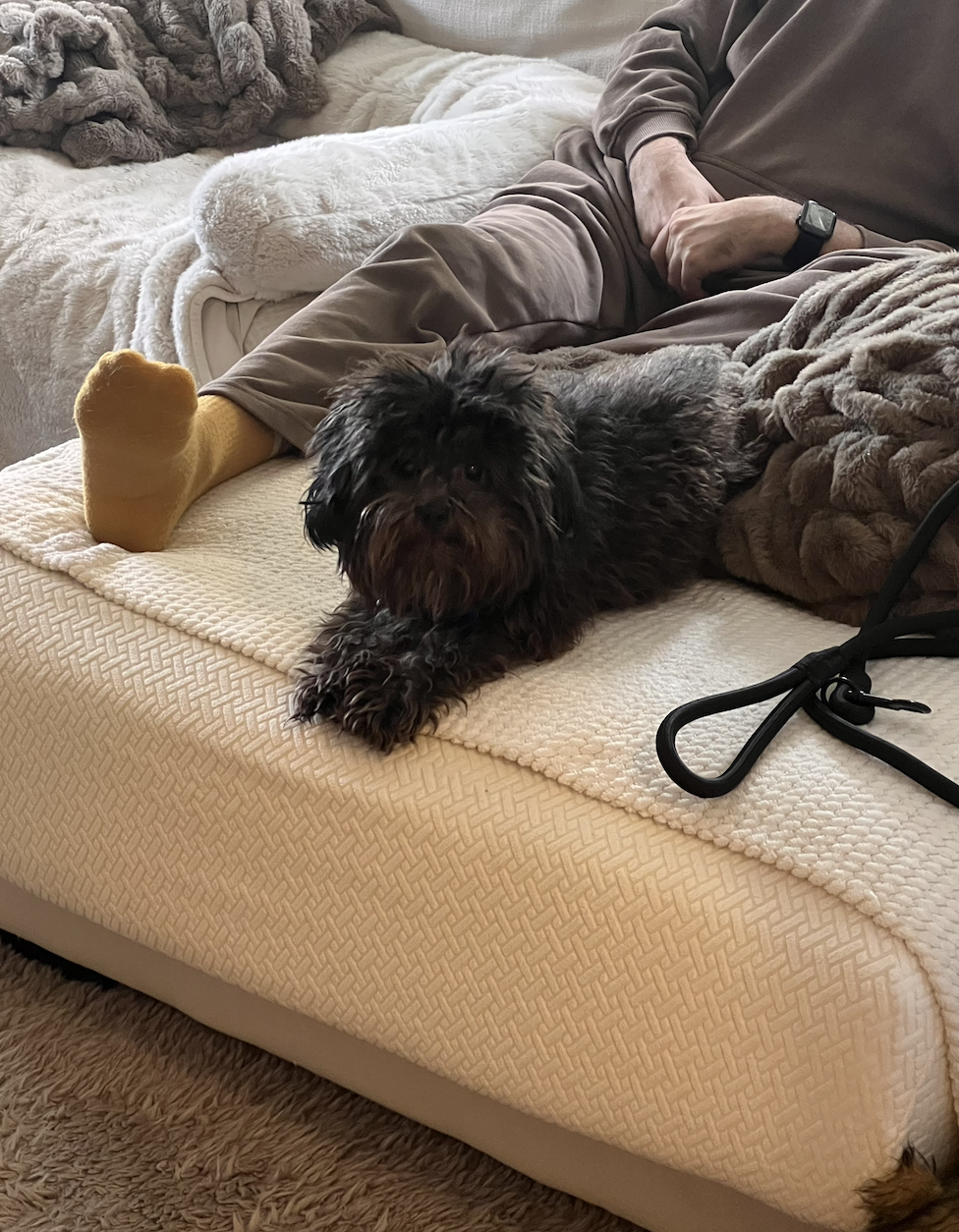 Screenshot 2026-03-12 at 6.52.07 PM.png