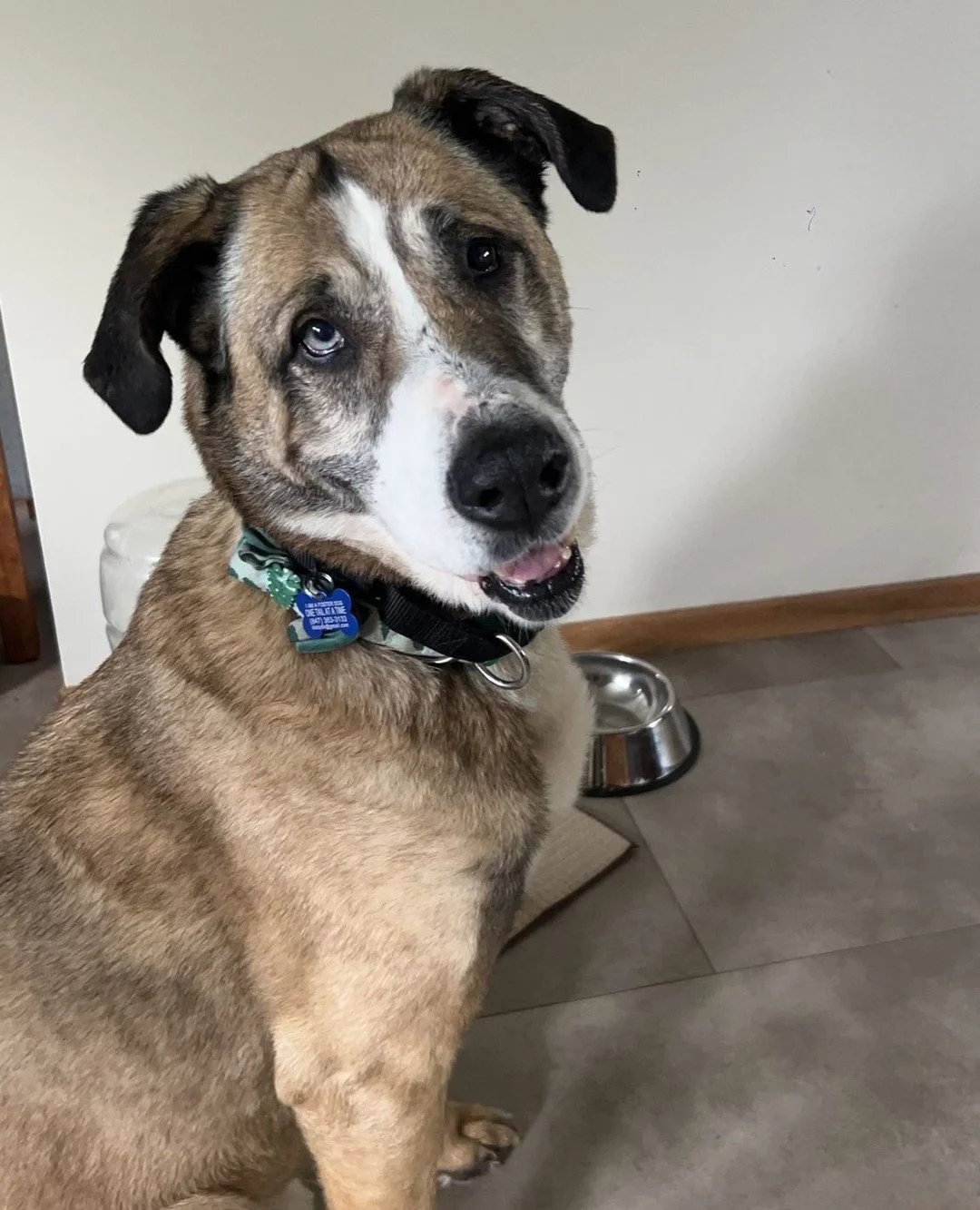 Introducing our Sunnydale authority figure: Principal Snyder.⁠
⁠
While the rest of the Buffy crew was keeping an eye on Hellmouth activity around Portland, he&rsquo;s been busy enjoying retirement as a certified couch potato (we refuse to acknowledge