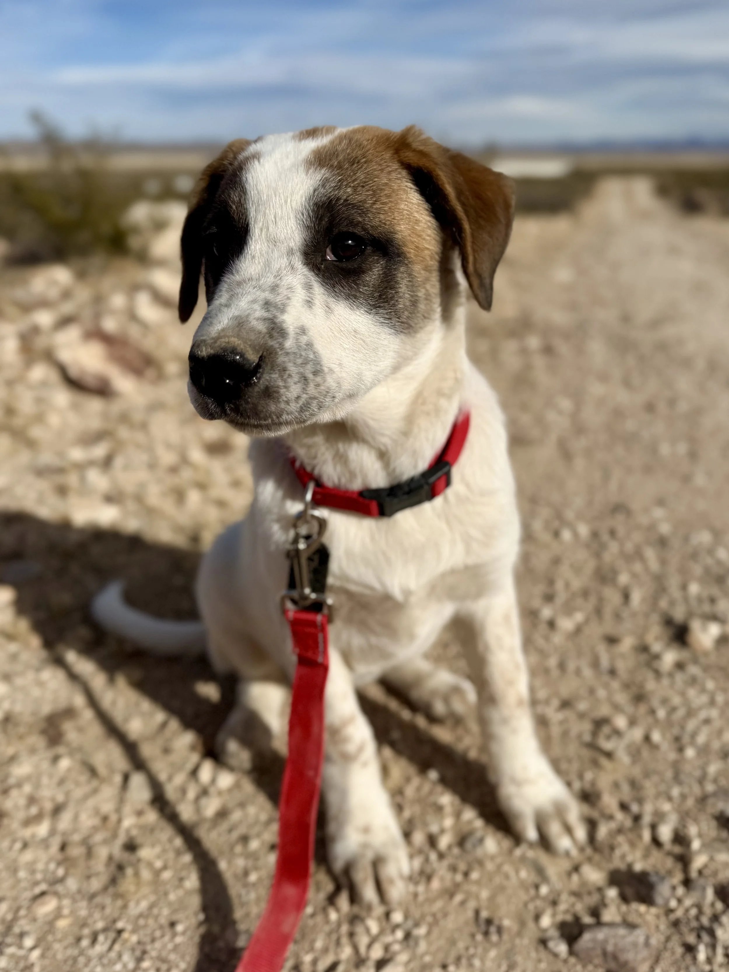 2026-01-08 10.23.24 (1).jpg