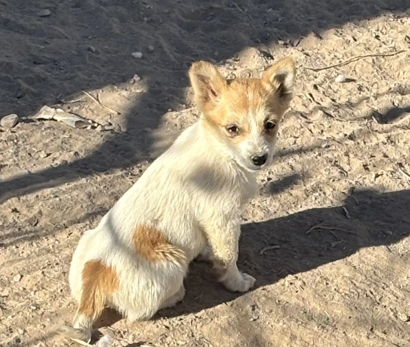 2026-03-10 10.22.59.jpg