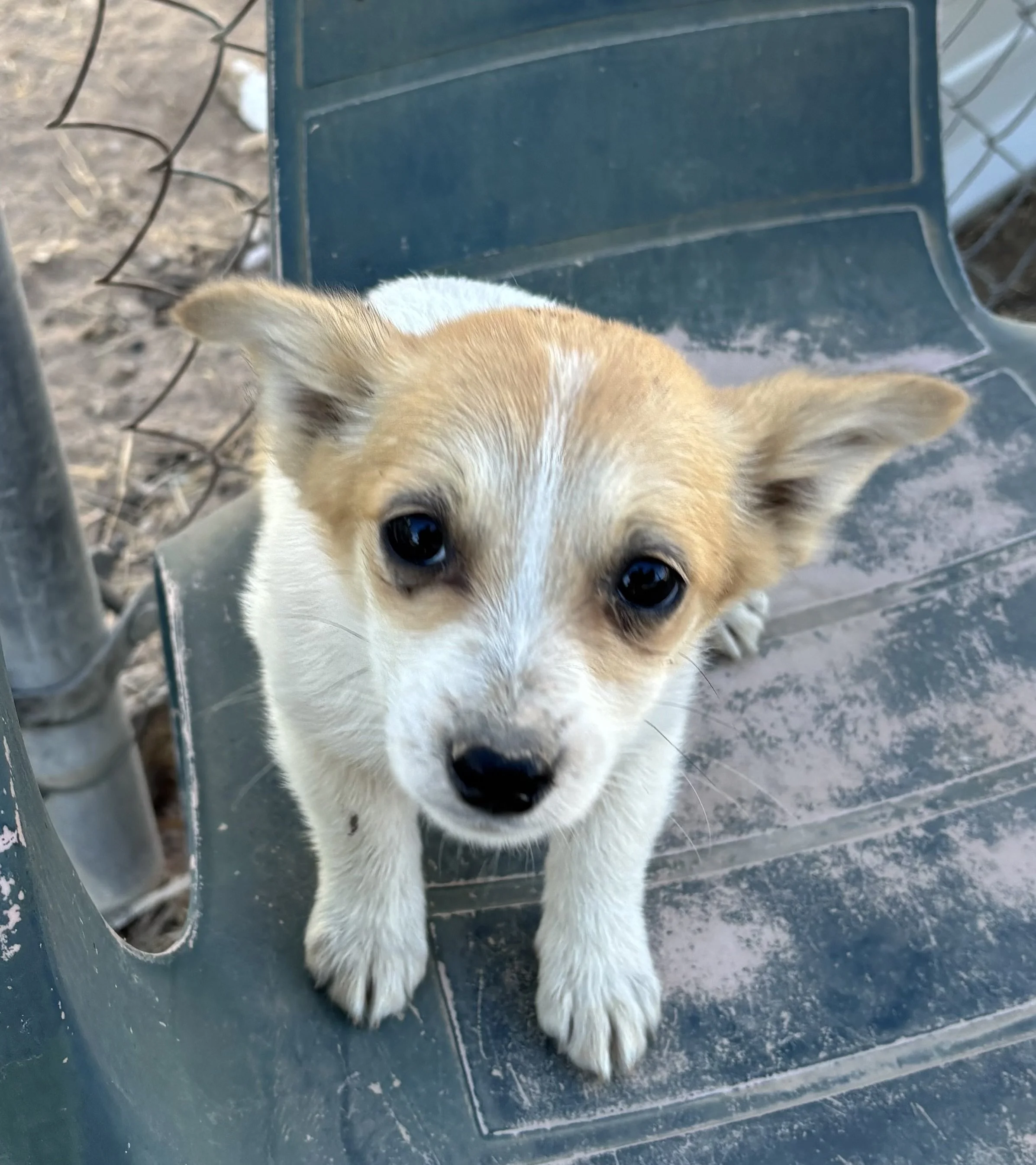 2026-03-10 10.24.01 (1).jpg