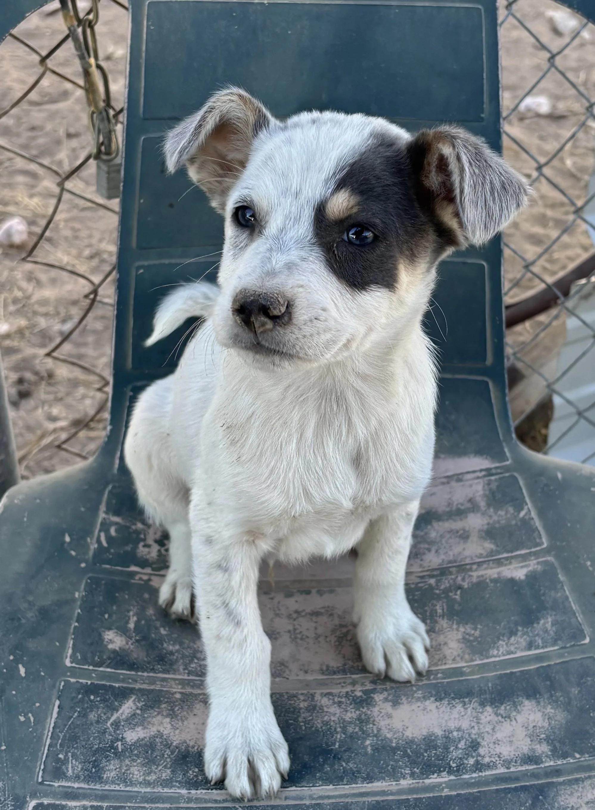 2026-03-10 10.26.24.jpg