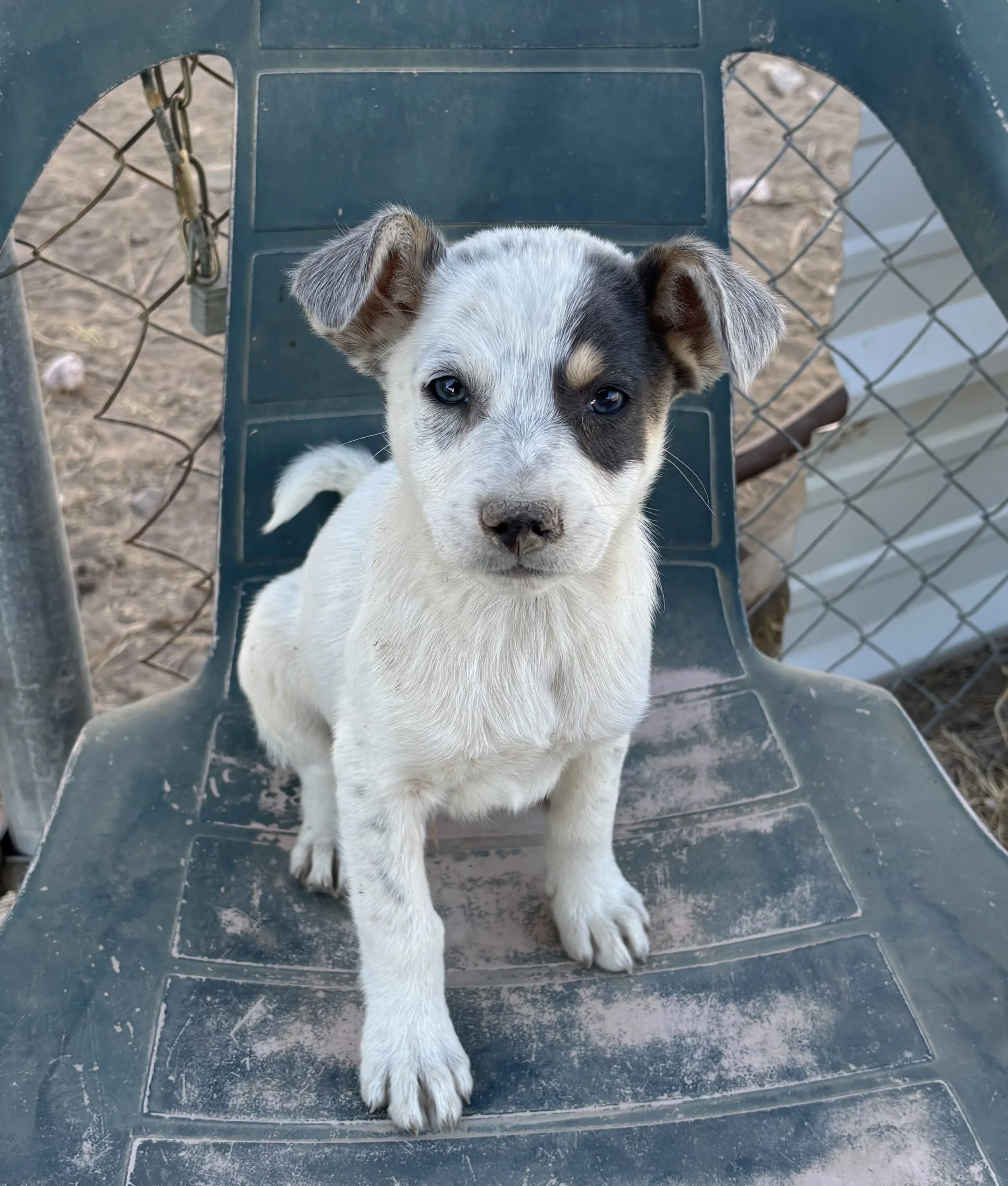 2026-03-10 10.26.31.jpg